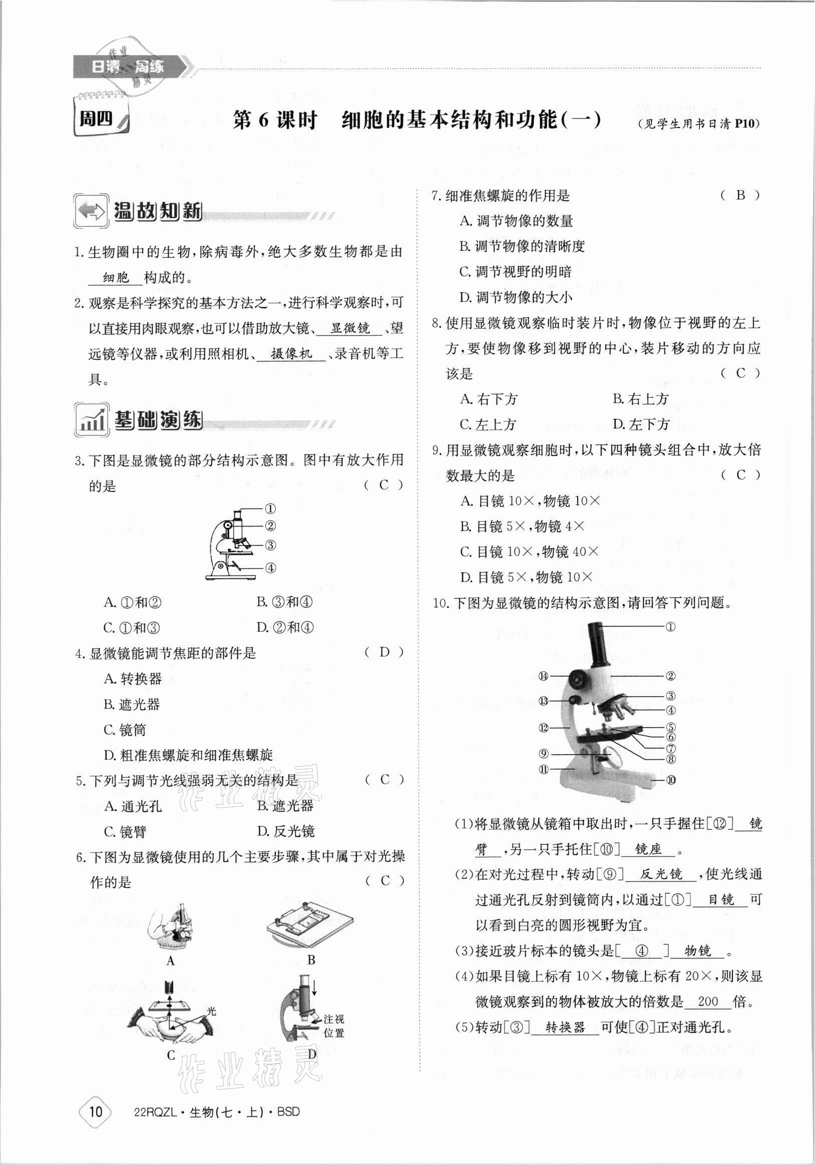 2021年日清周練七年級(jí)生物上冊(cè)北師大版 參考答案第10頁(yè)