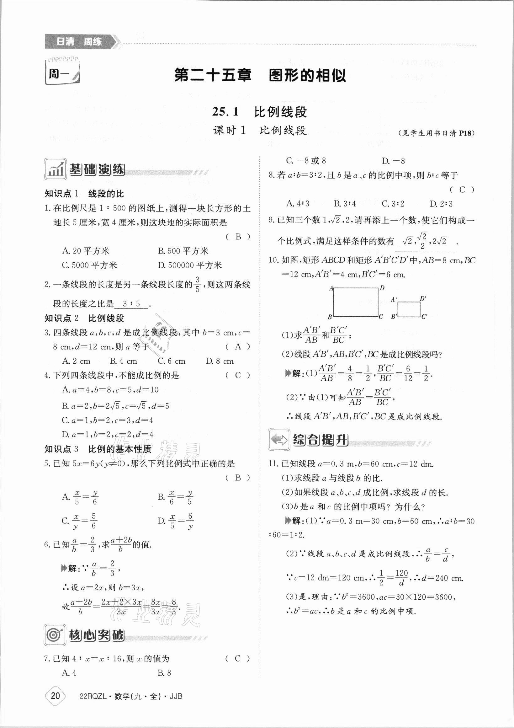2021年日清周练九年级数学全一册冀教版 参考答案第20页