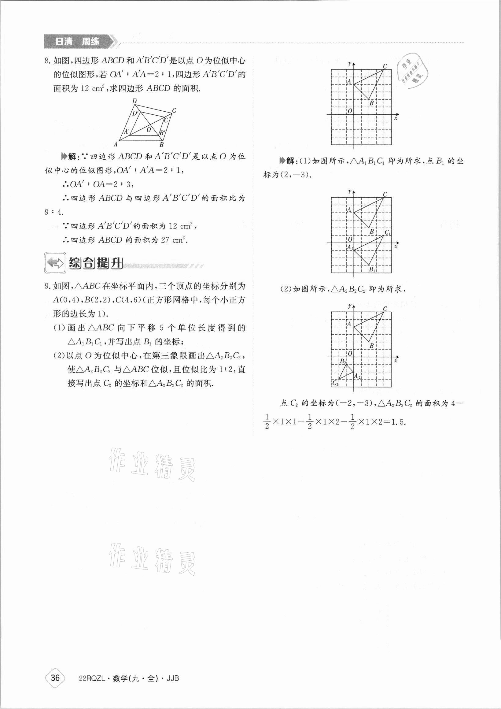 2021年日清周练九年级数学全一册冀教版 参考答案第36页