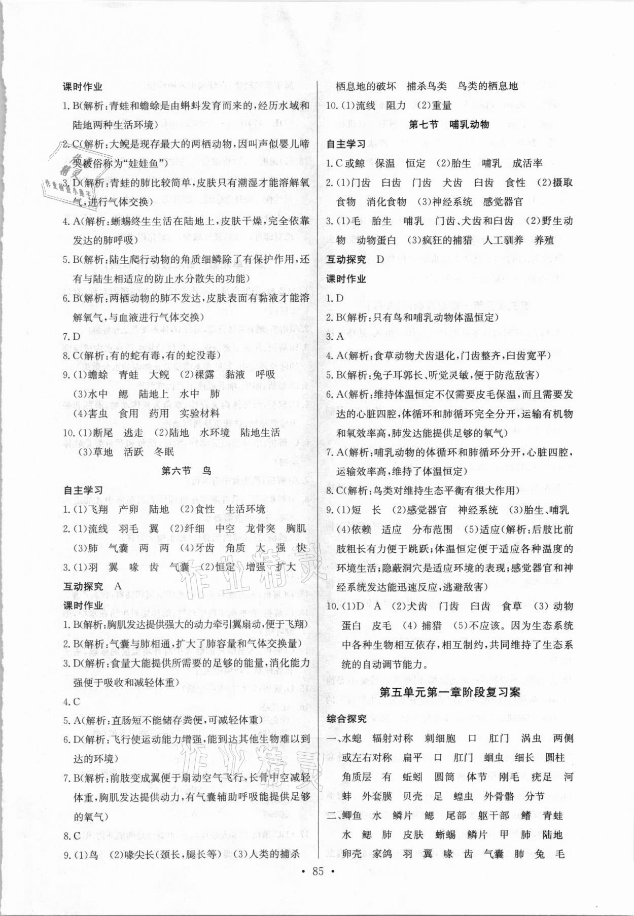 2021年长江全能学案同步练习册八年级生物上册人教版 第3页