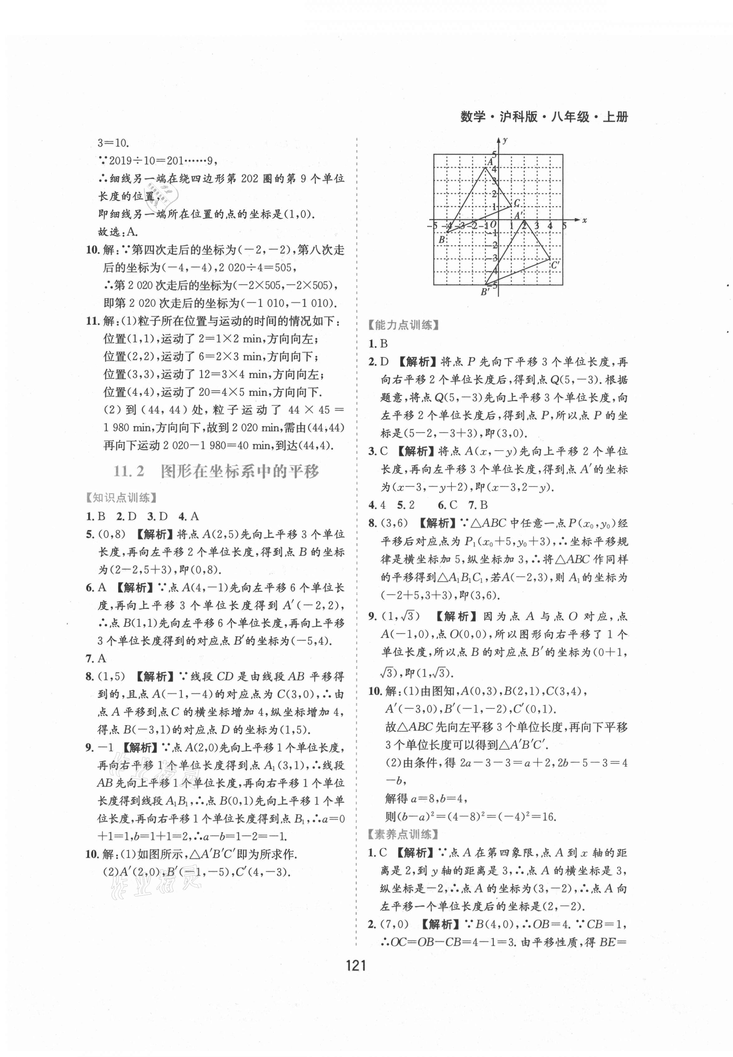 2021年新编基础训练八年级数学上册沪科版黄山书社 第3页