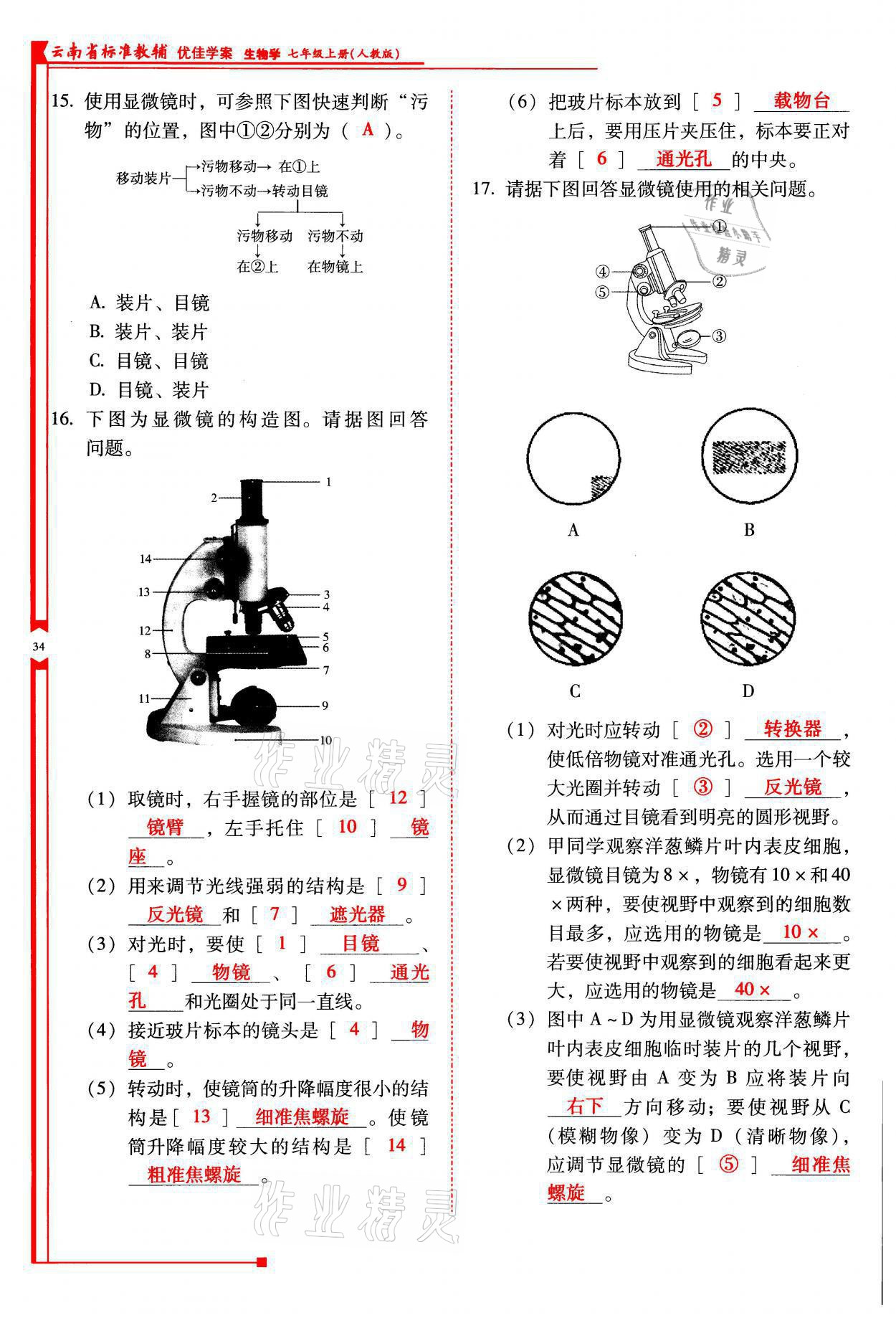 2021年云南省标准教辅优佳学案七年级生物上册人教版 参考答案第34页