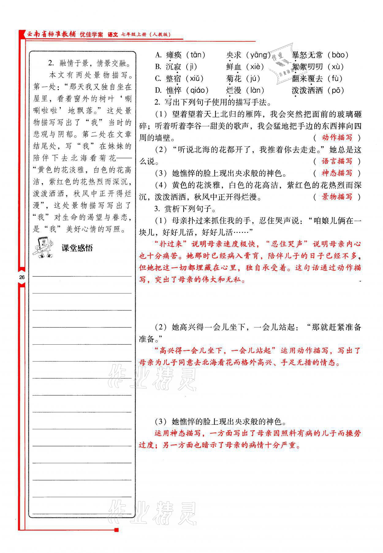 2021年云南省标准教辅优佳学案七年级语文上册人教版 参考答案第26页