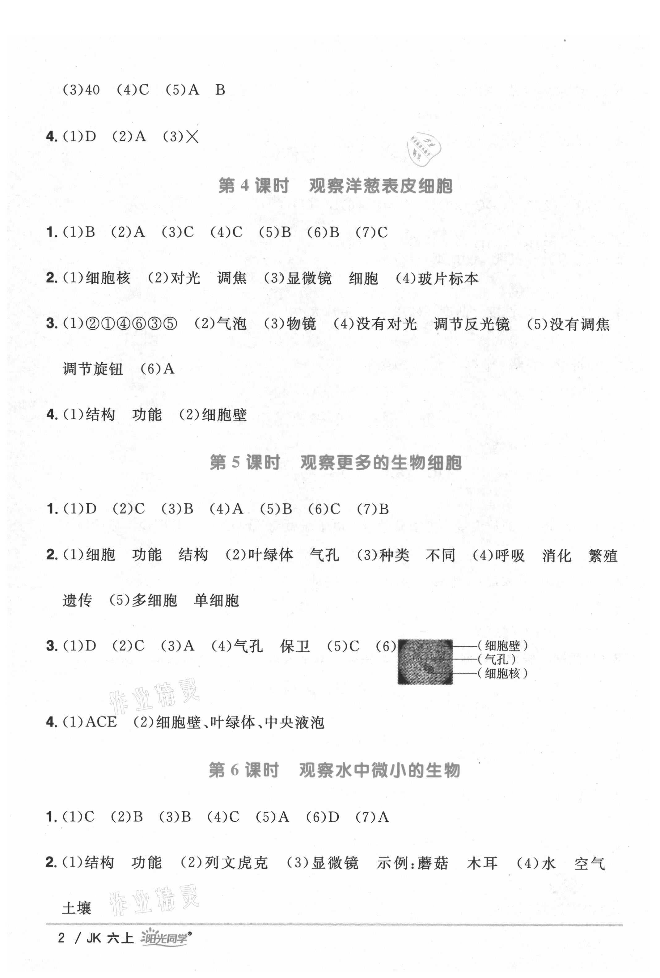 2021年陽光同學(xué)課時優(yōu)化作業(yè)六年級科學(xué)上冊教科版 第2頁