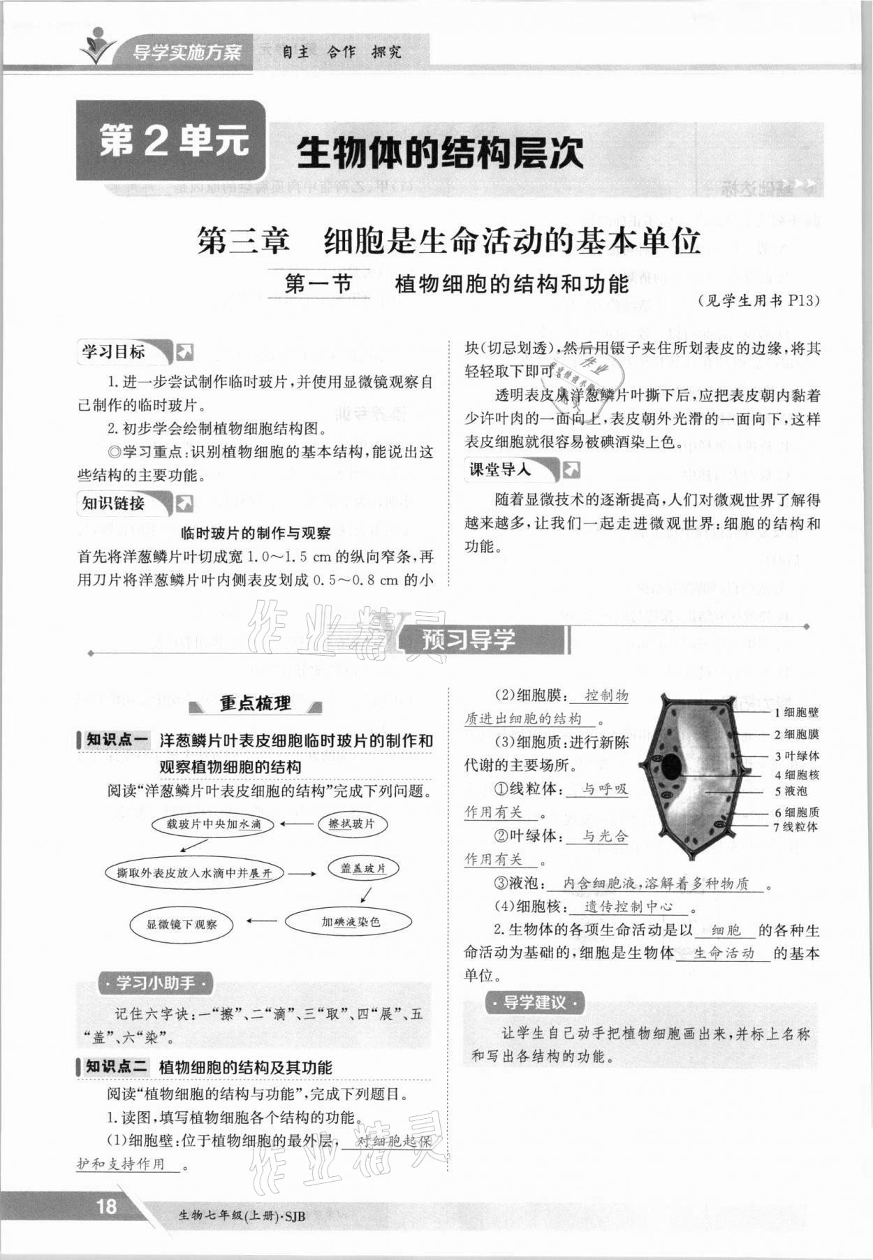 2021年金太阳导学案七年级生物上册苏教版 参考答案第18页