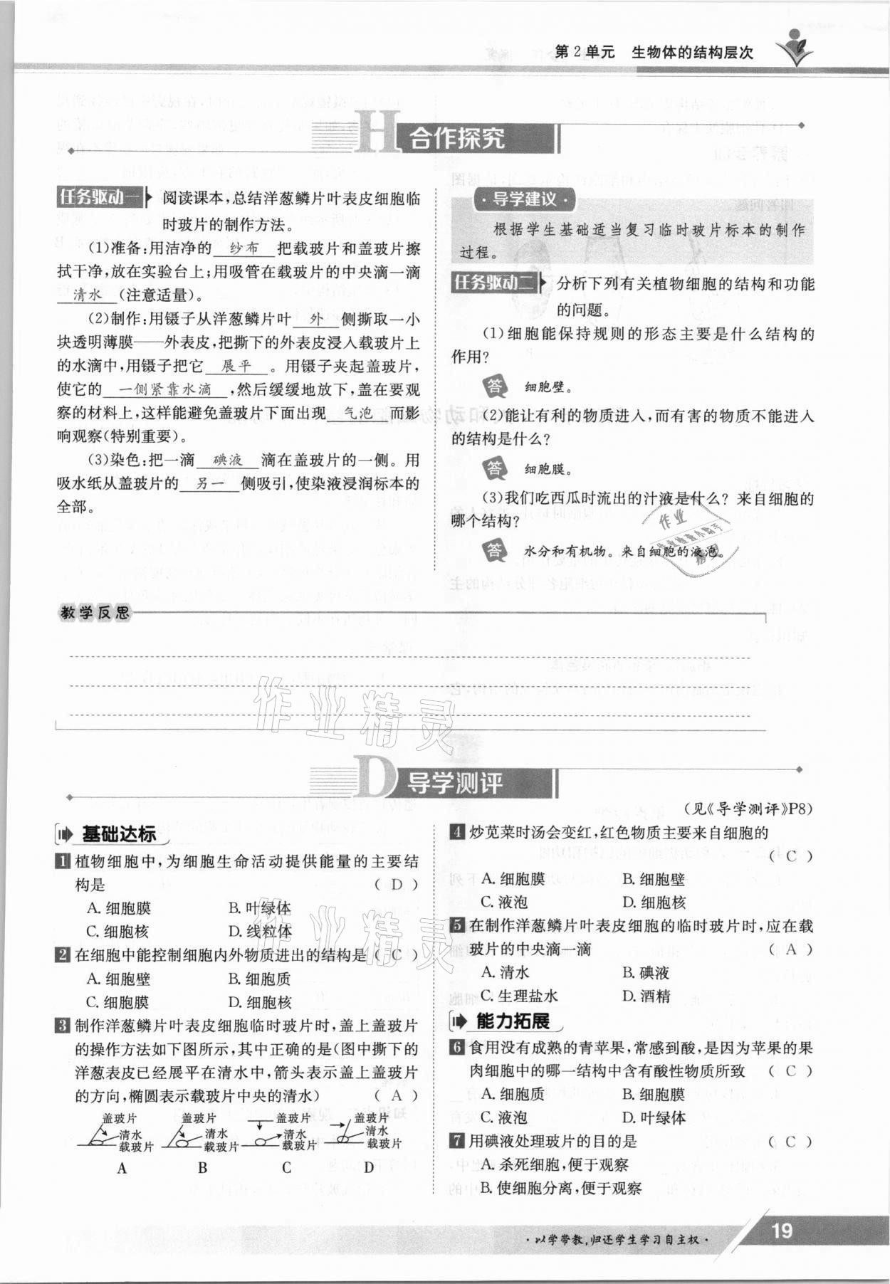 2021年金太阳导学案七年级生物上册苏教版 参考答案第19页