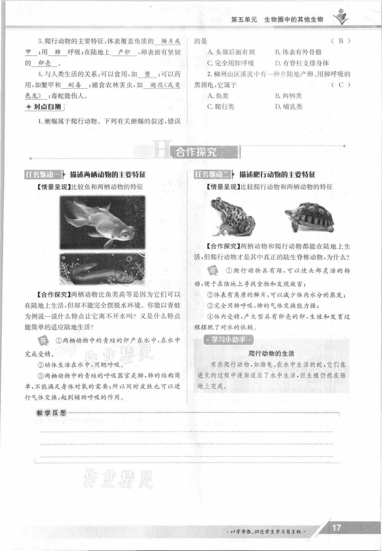 2021年金太阳导学案八年级生物上册人教版 参考答案第17页