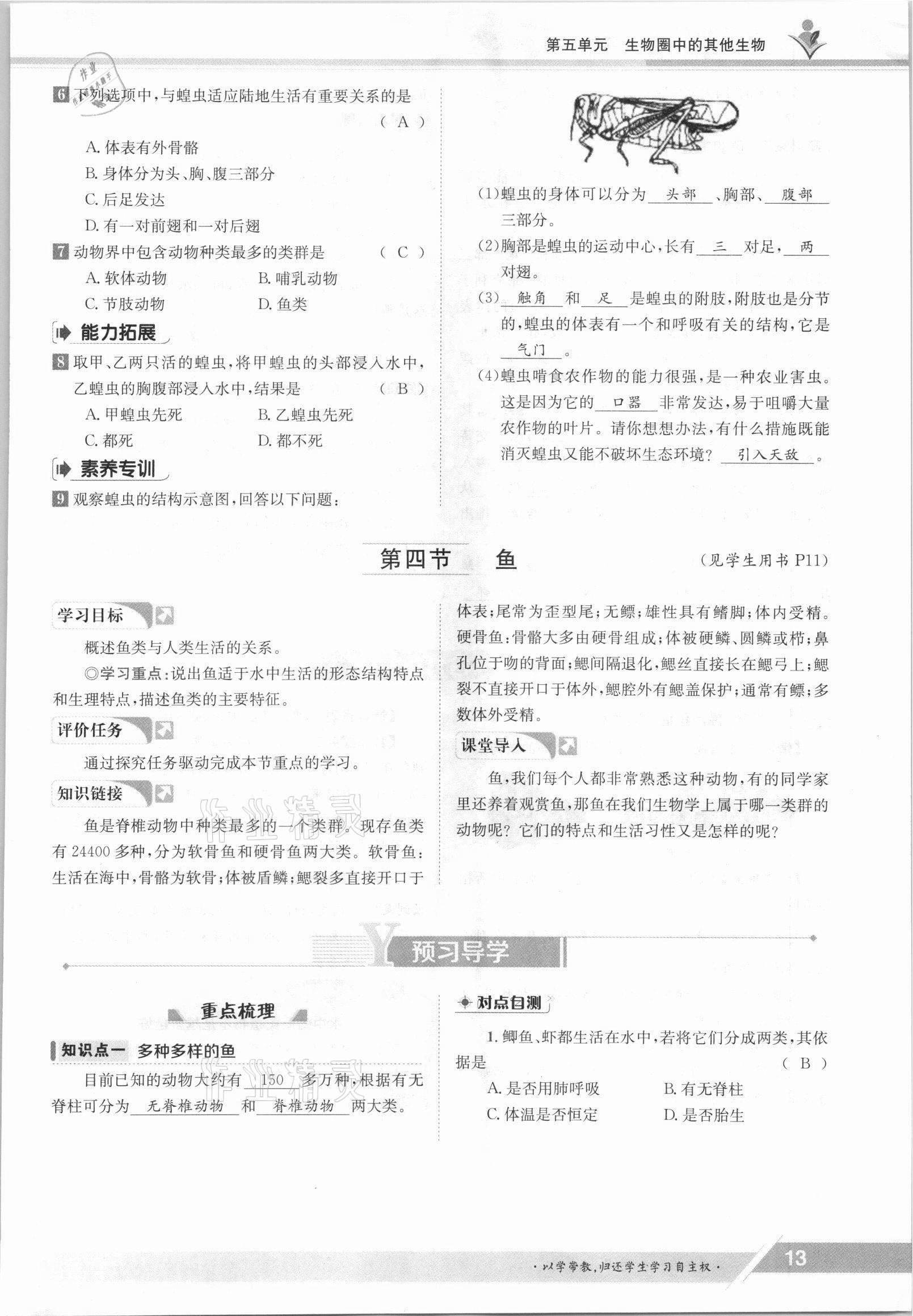 2021年金太陽導(dǎo)學(xué)案八年級生物上冊人教版 參考答案第13頁