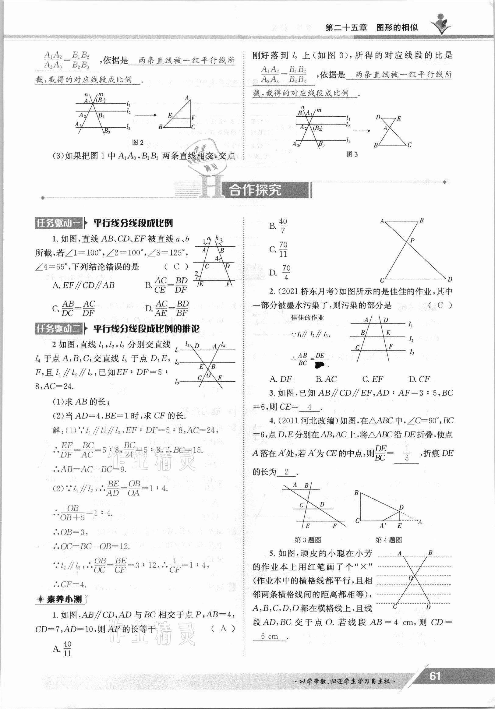 2021年金太陽導(dǎo)學(xué)案九年級(jí)數(shù)學(xué)全一冊(cè)冀教版 參考答案第61頁