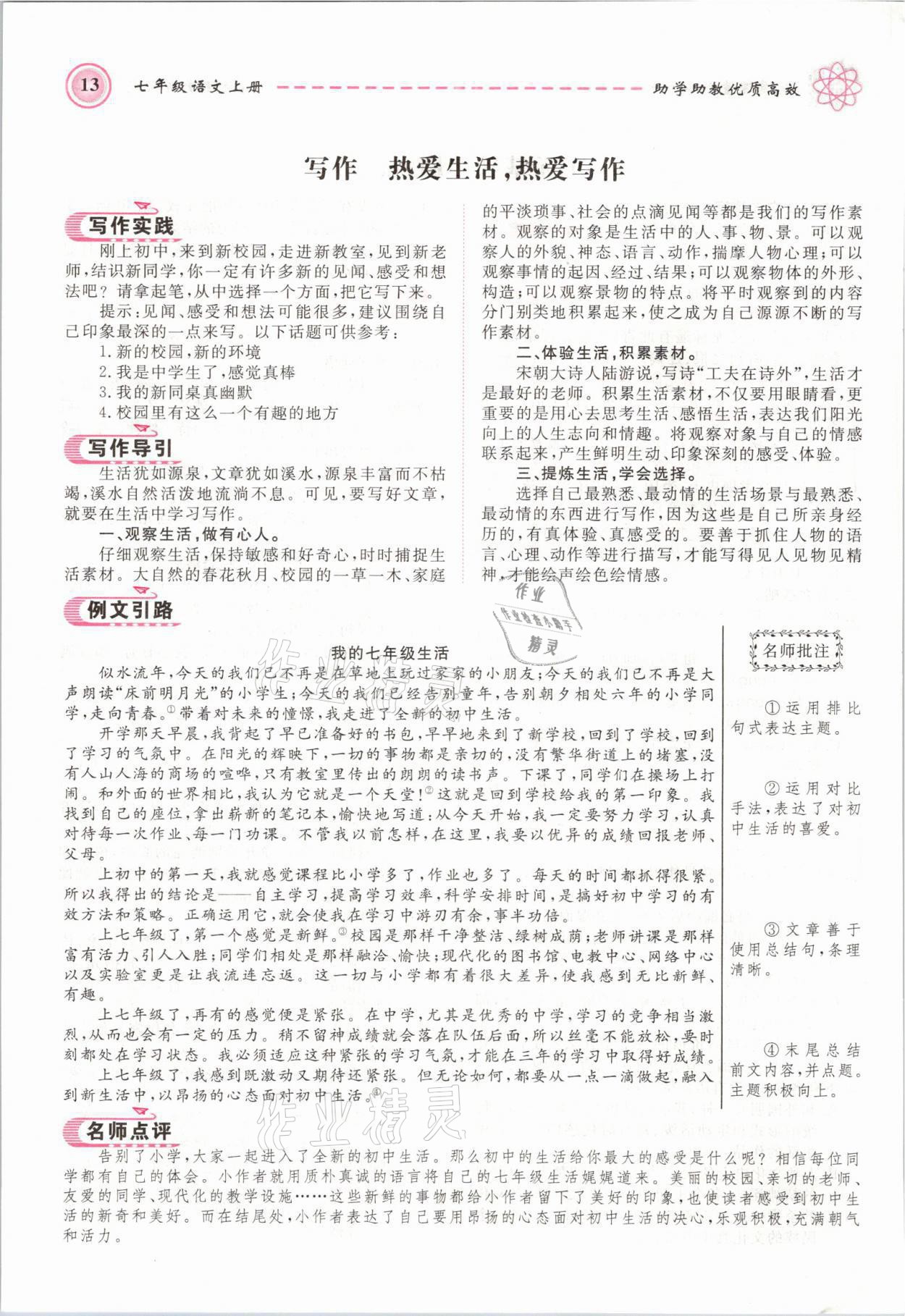 2021年名師學(xué)案七年級語文上冊人教版黃岡孝感咸寧專版 第13頁