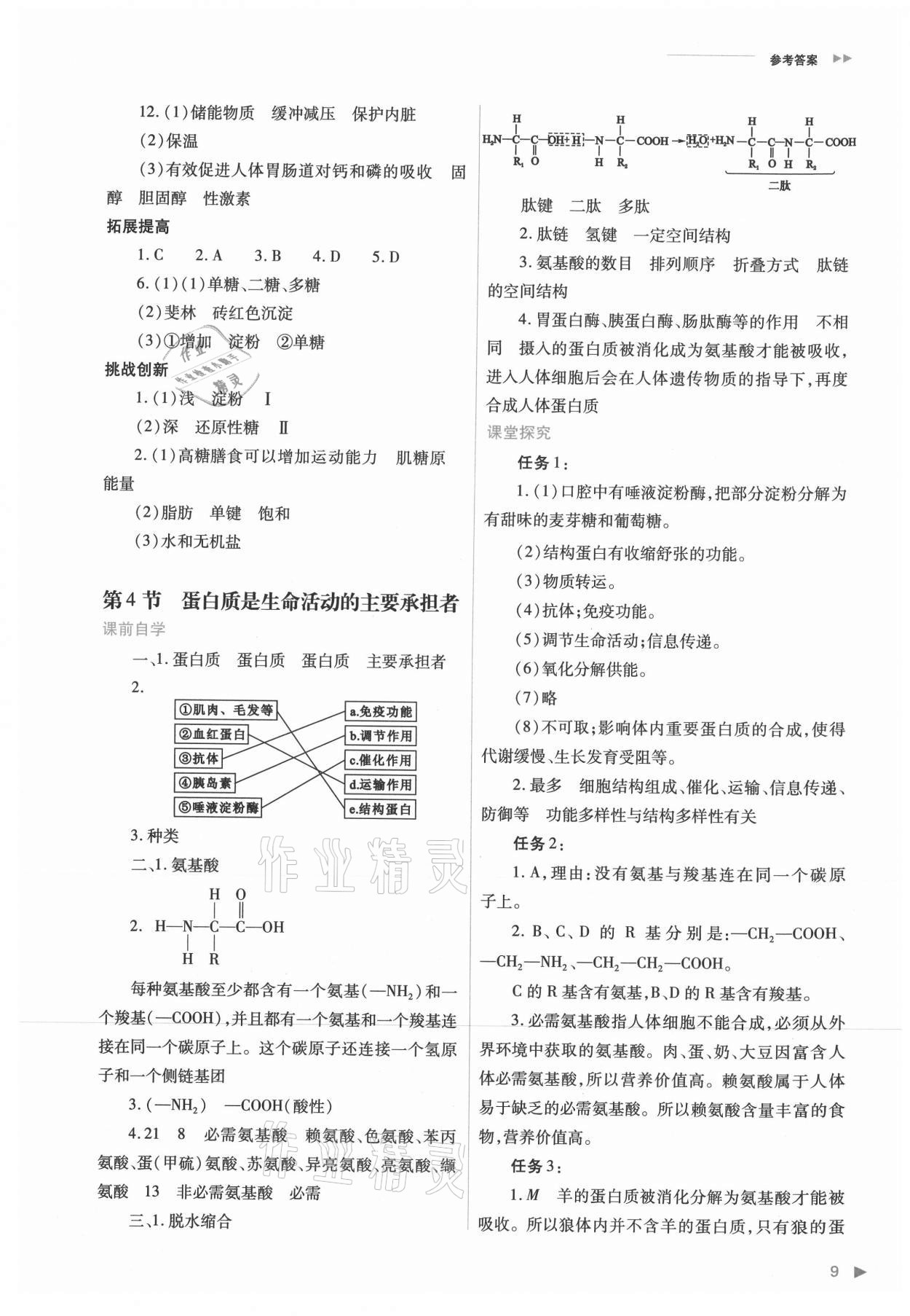 2021年普通高中新課程同步練習(xí)冊(cè)高中生物必修1分子與細(xì)胞人教版 參考答案第9頁(yè)