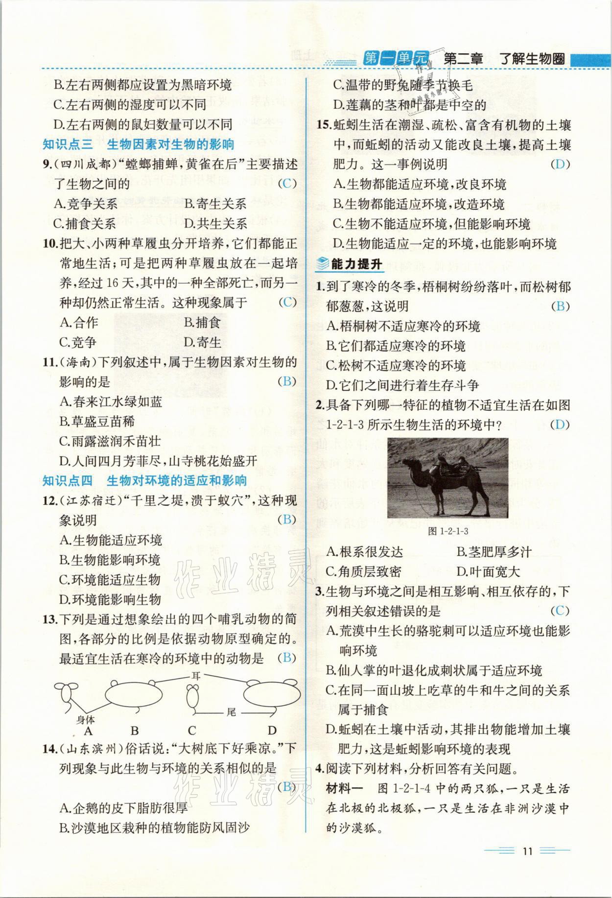 2021年人教金学典同步解析与测评七年级生物上册人教版云南专版 参考答案第11页