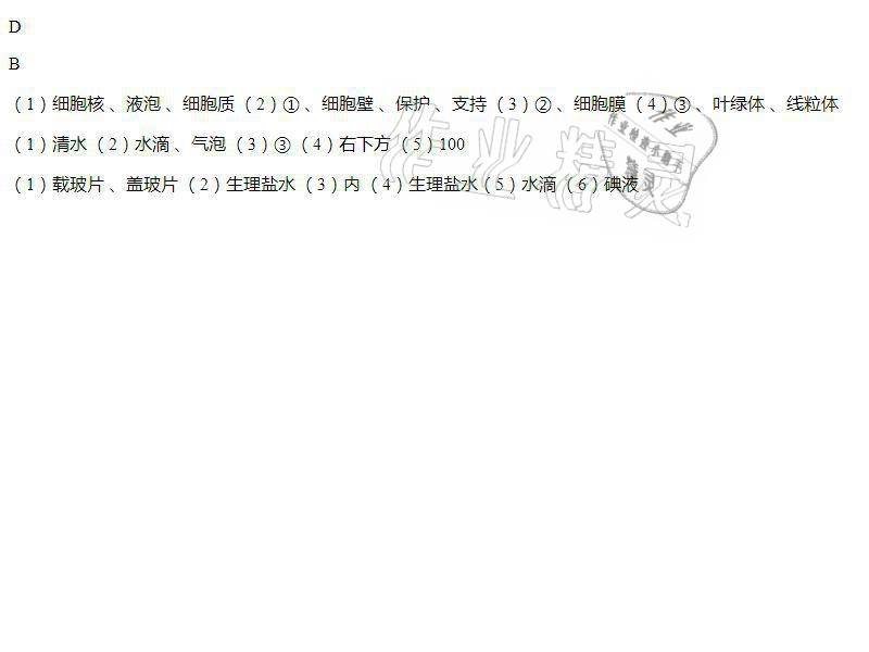 2021年同步导学与优化训练七年级生物上册人教版 参考答案第28页