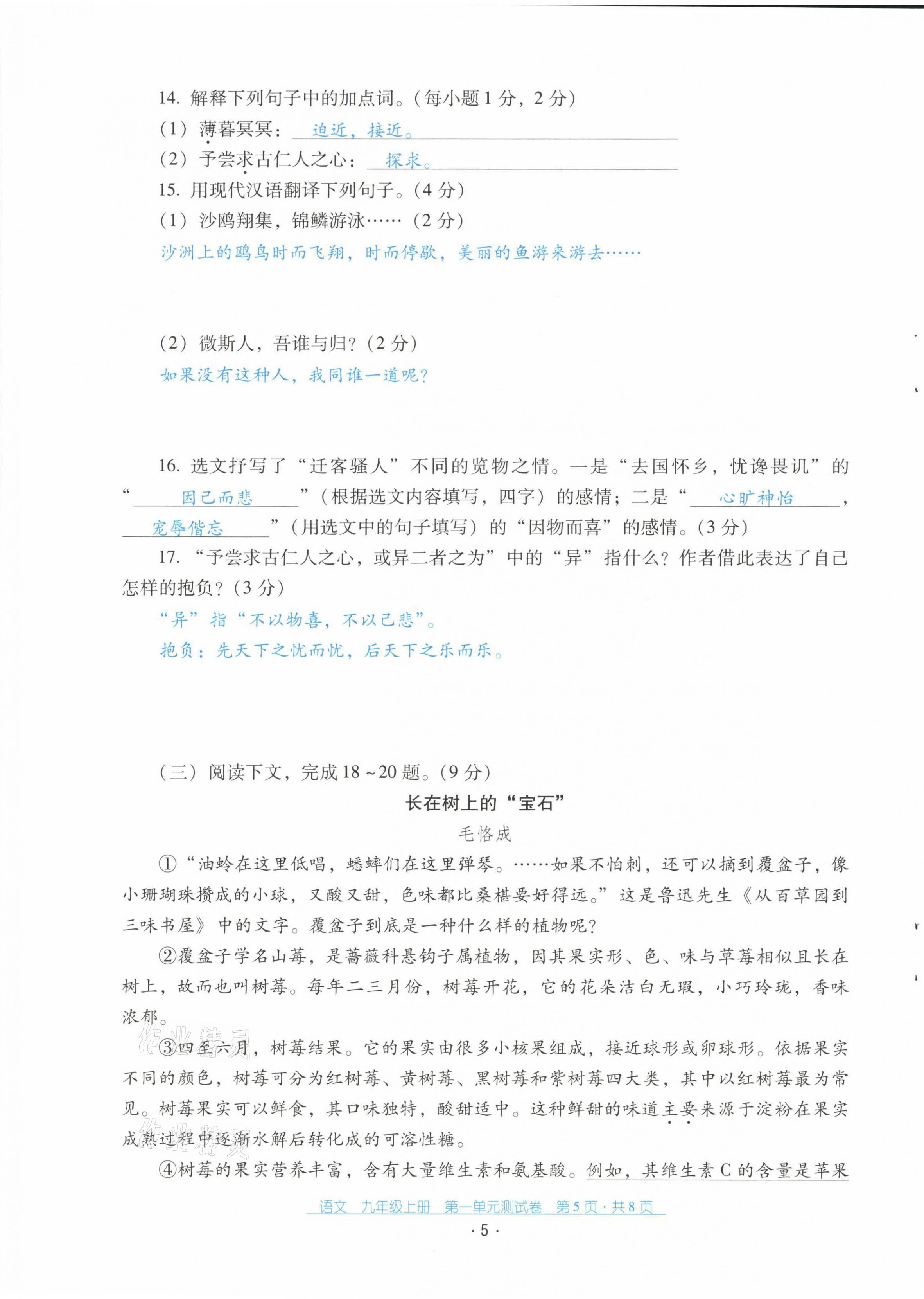 2021年云南省标准教辅优佳学案配套测试卷九年级语文上册人教版 第5页
