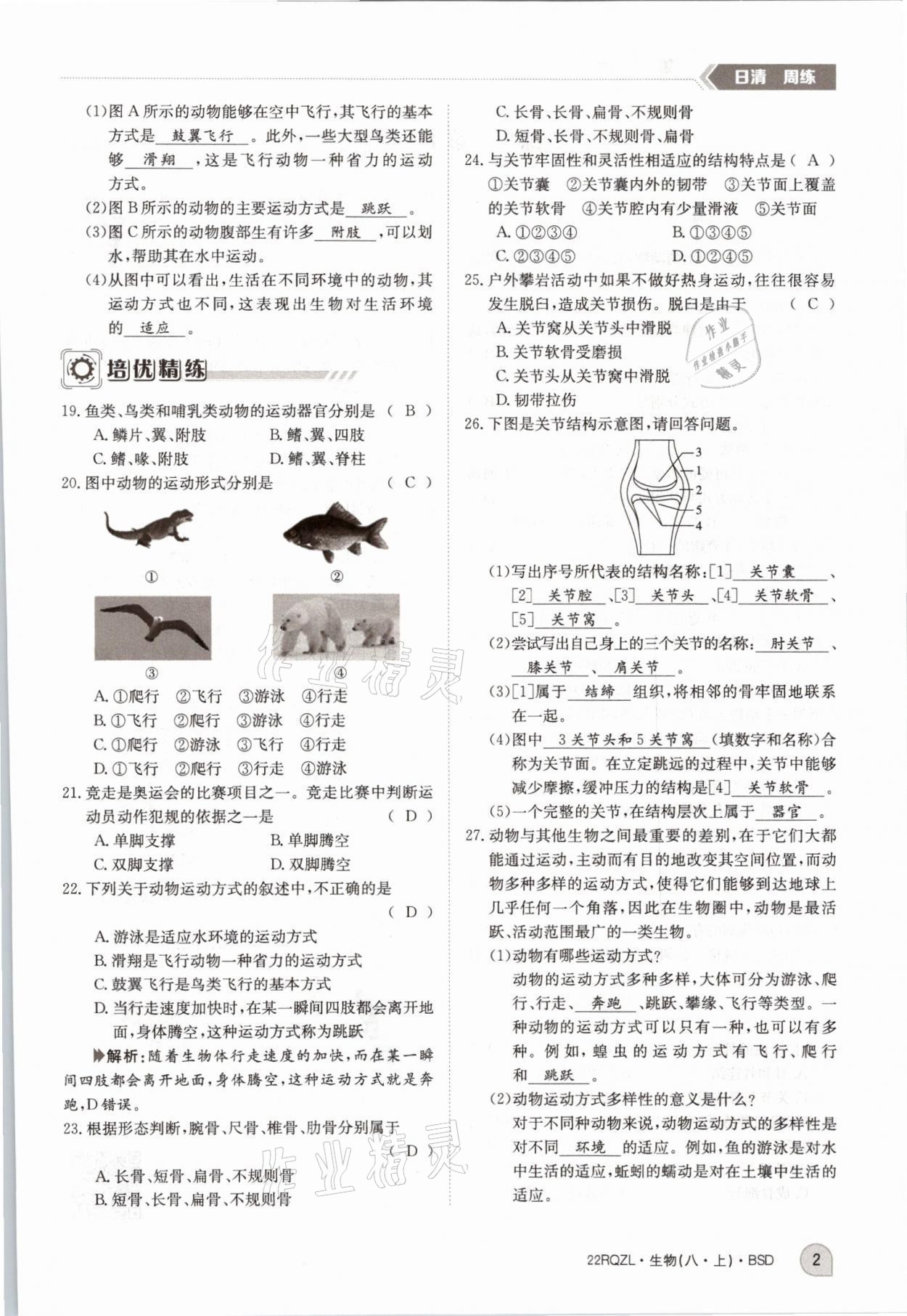 2021年日清周练八年级生物上册北师大版 参考答案第6页