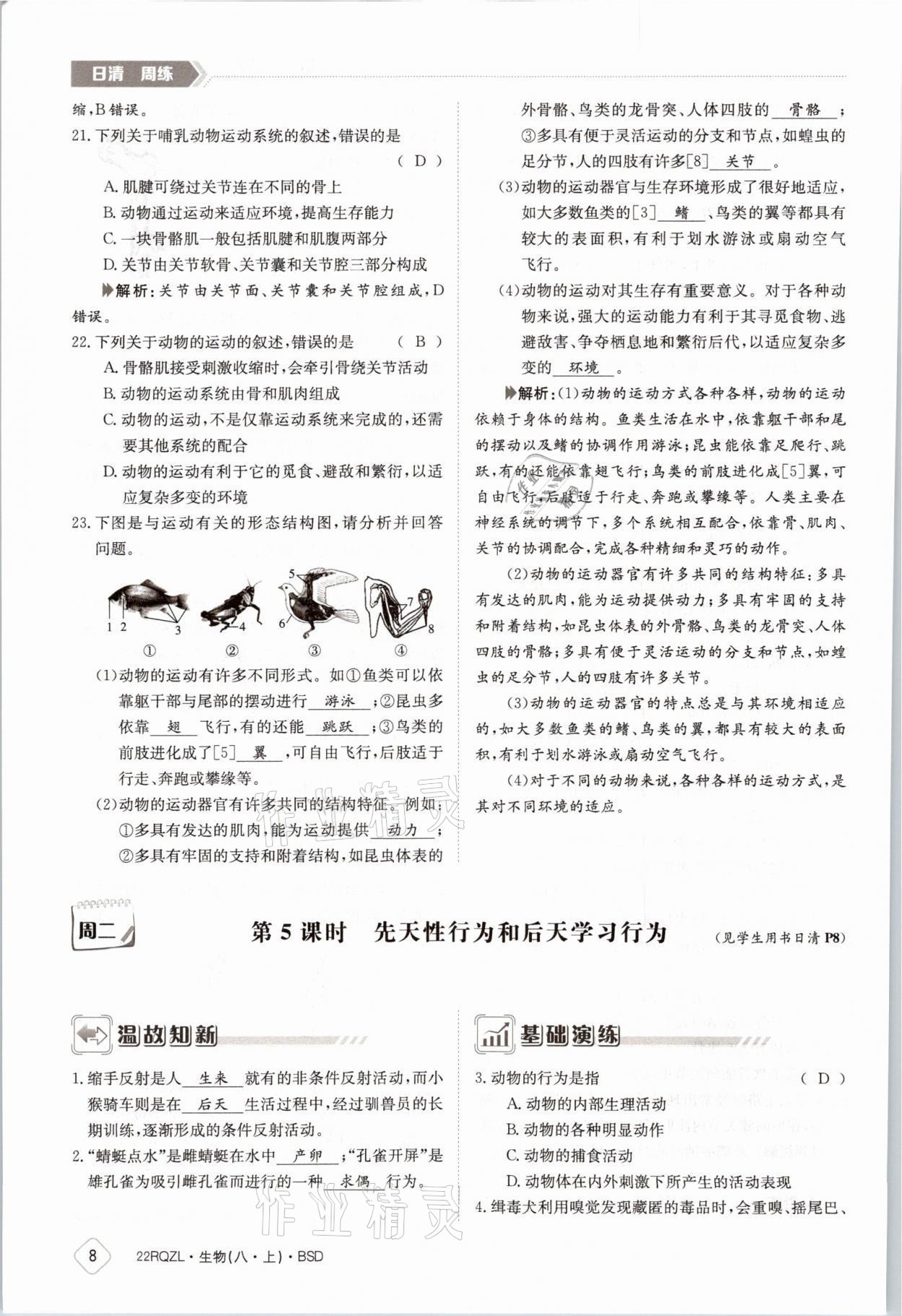 2021年日清周练八年级生物上册北师大版 参考答案第13页
