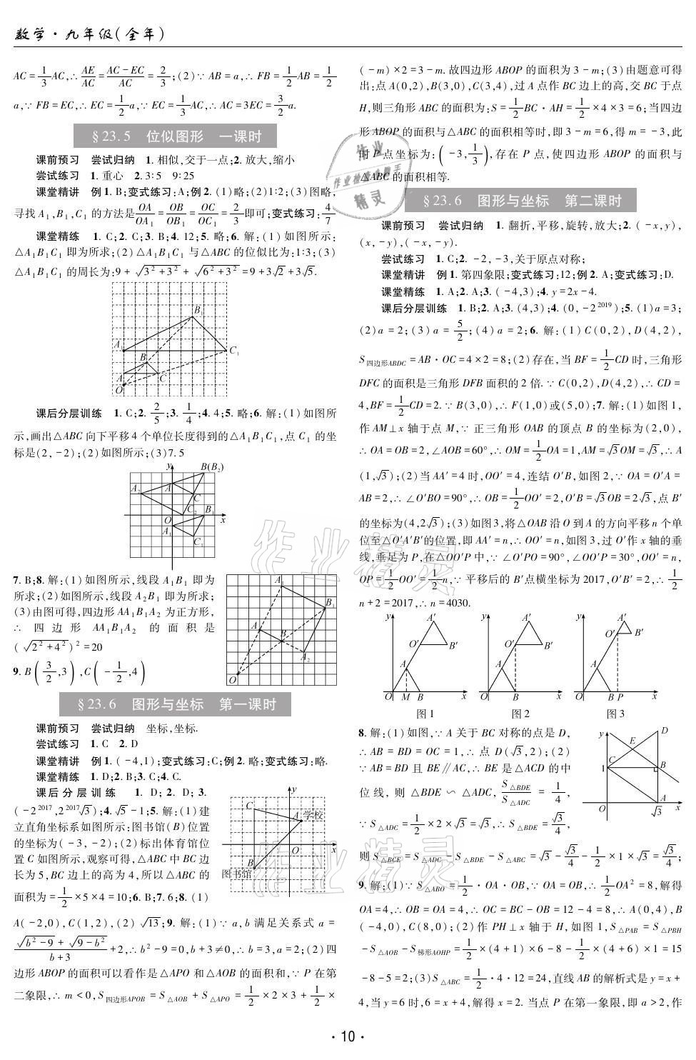 2021年理科爱好者九年级数学全一册华师大版12~13期 参考答案第9页
