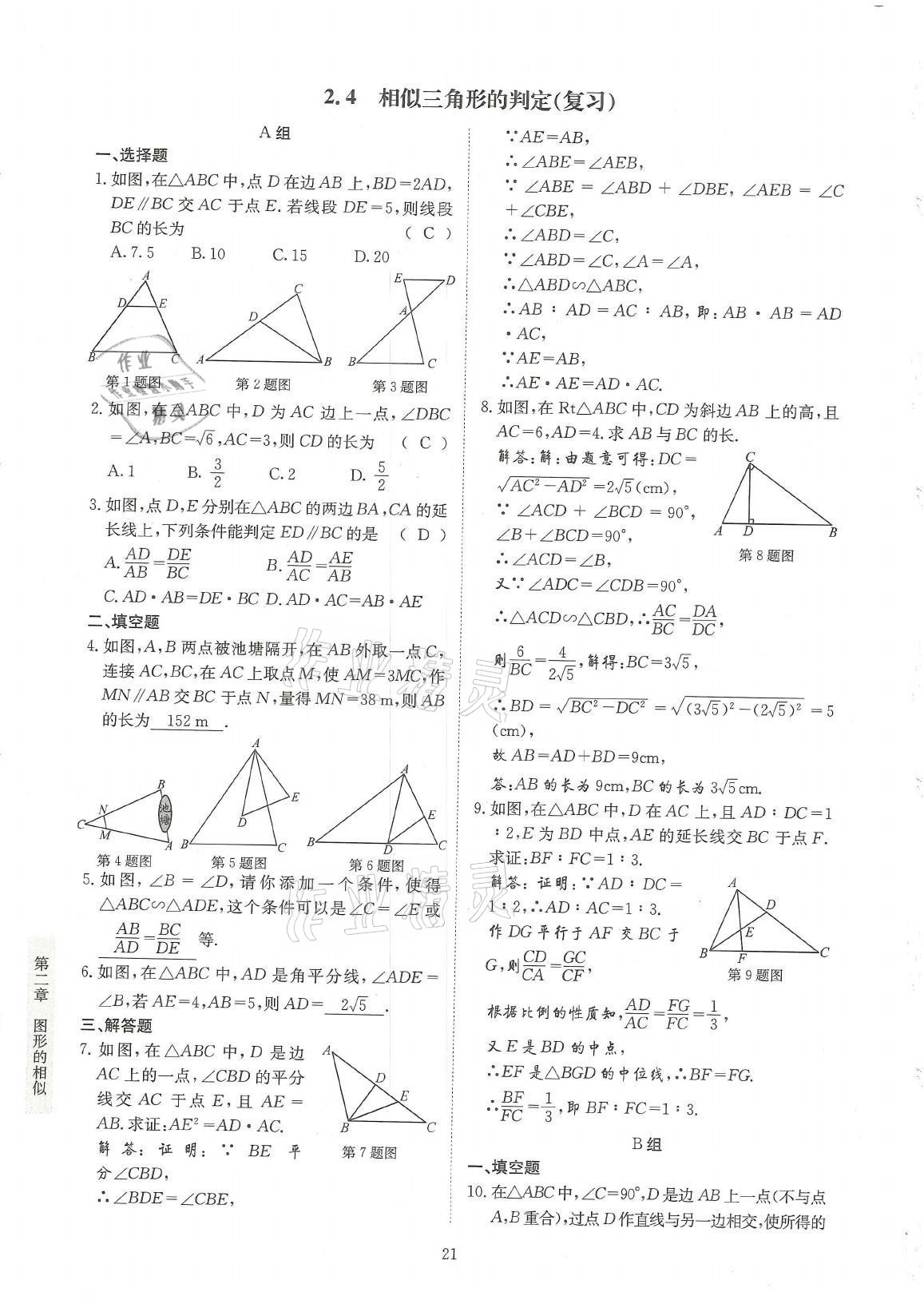 2021年金典训练九年级数学全一册北师大版 参考答案第21页