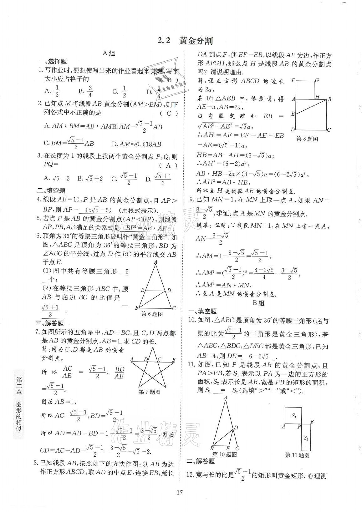 2021年金典训练九年级数学全一册北师大版 参考答案第17页