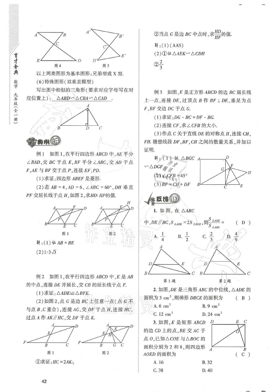 2021年育才金典九年級(jí)數(shù)學(xué)全一冊(cè)北師大版 參考答案第42頁(yè)