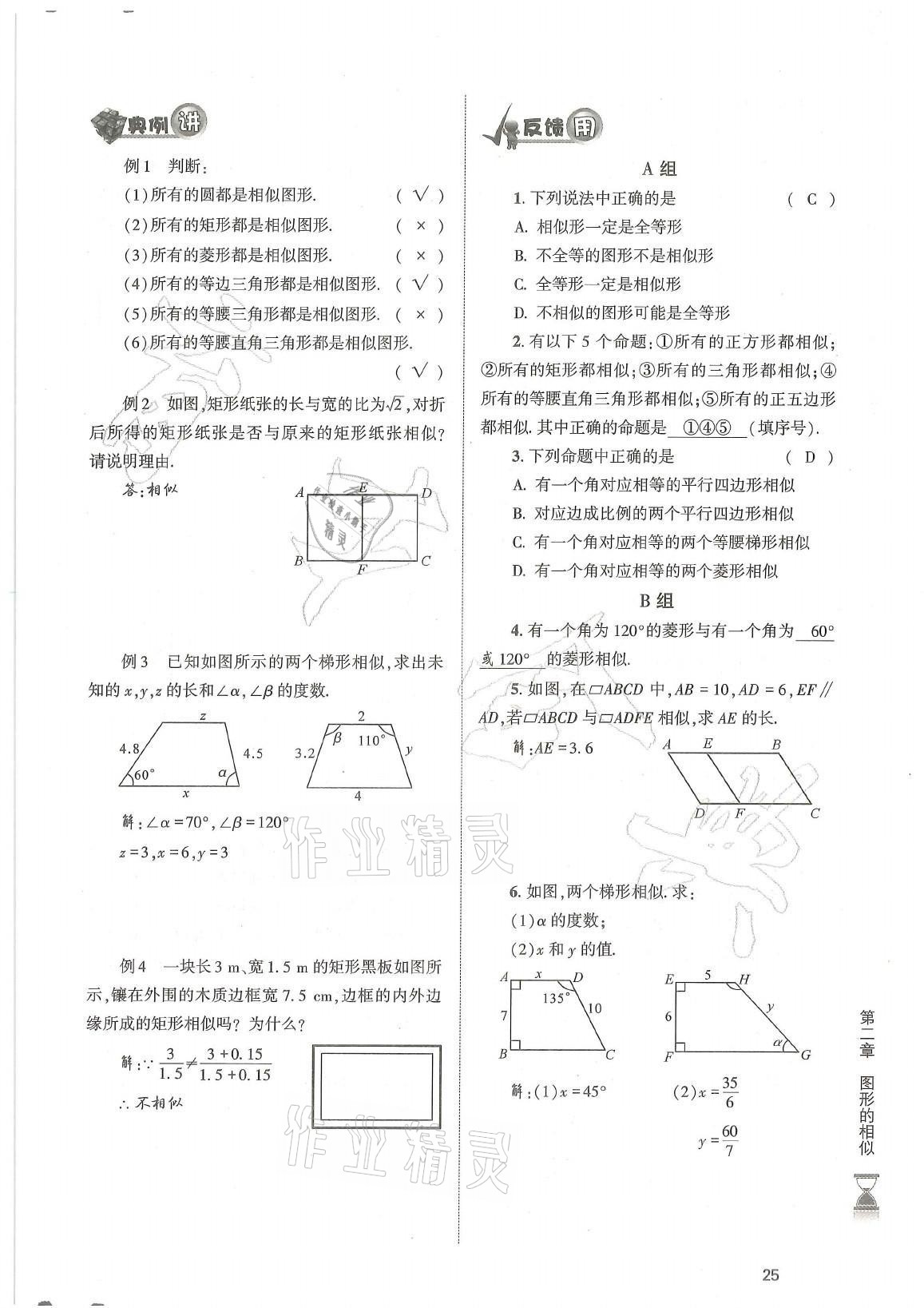 2021年育才金典九年級數學全一冊北師大版 參考答案第25頁