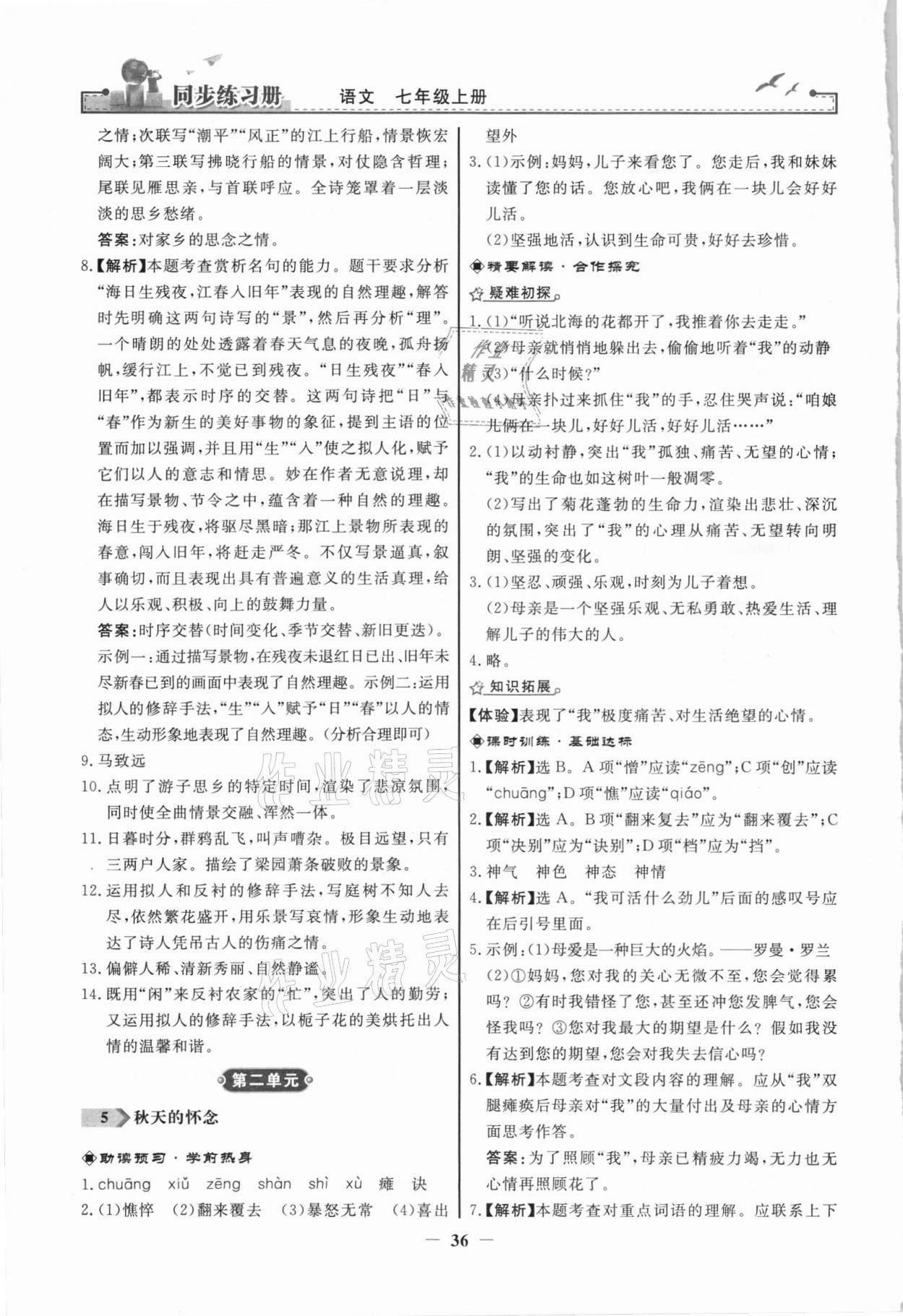 2021年同步练习册七年级语文上册人教版江苏专版人民教育出版社 第4页