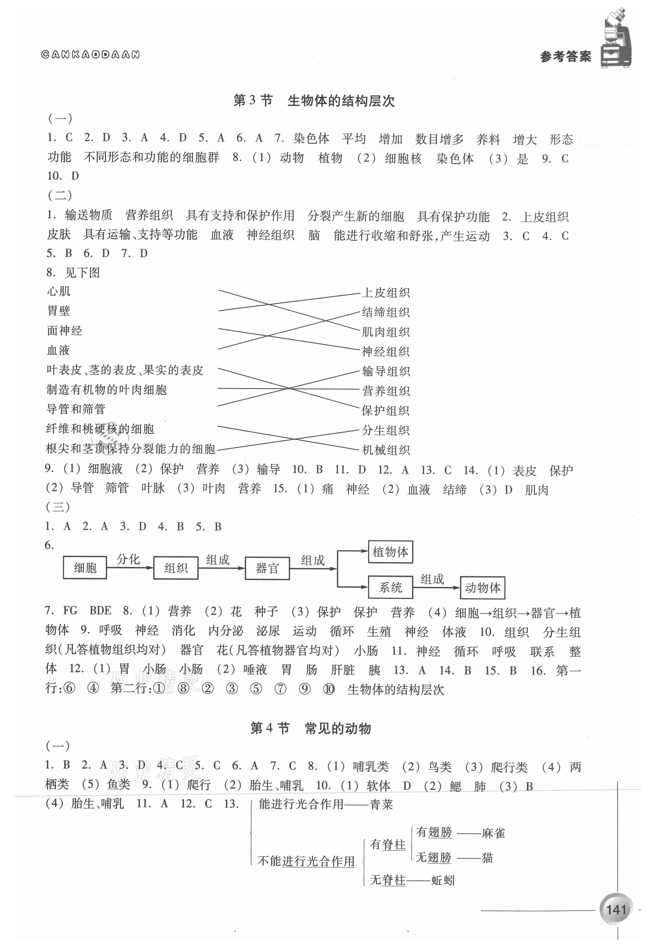 2021年同步練習(xí)浙江教育出版社七年級(jí)科學(xué)上冊(cè)浙教版 第3頁