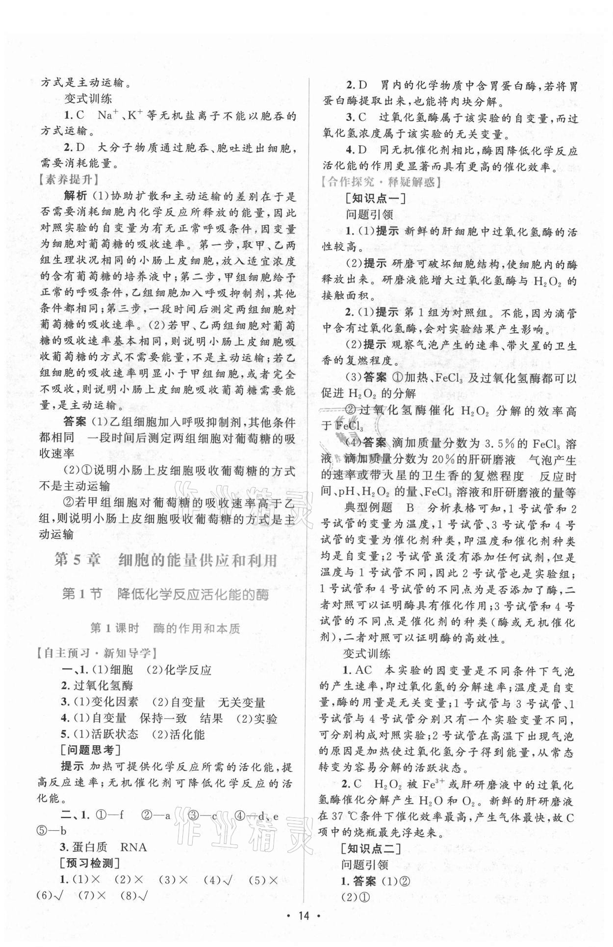 2021年高中同步测控优化设计生物必修1分子与细胞增强版 参考答案第13页