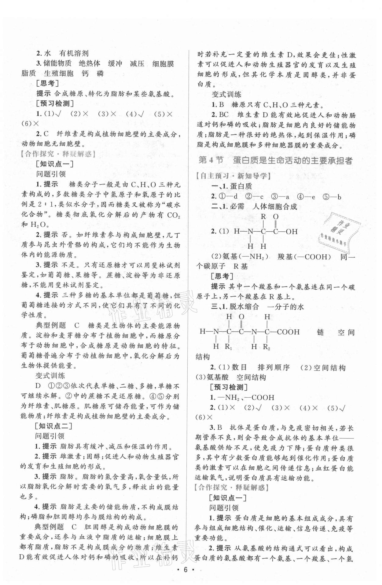 2021年高中同步测控优化设计生物必修1分子与细胞增强版 参考答案第5页