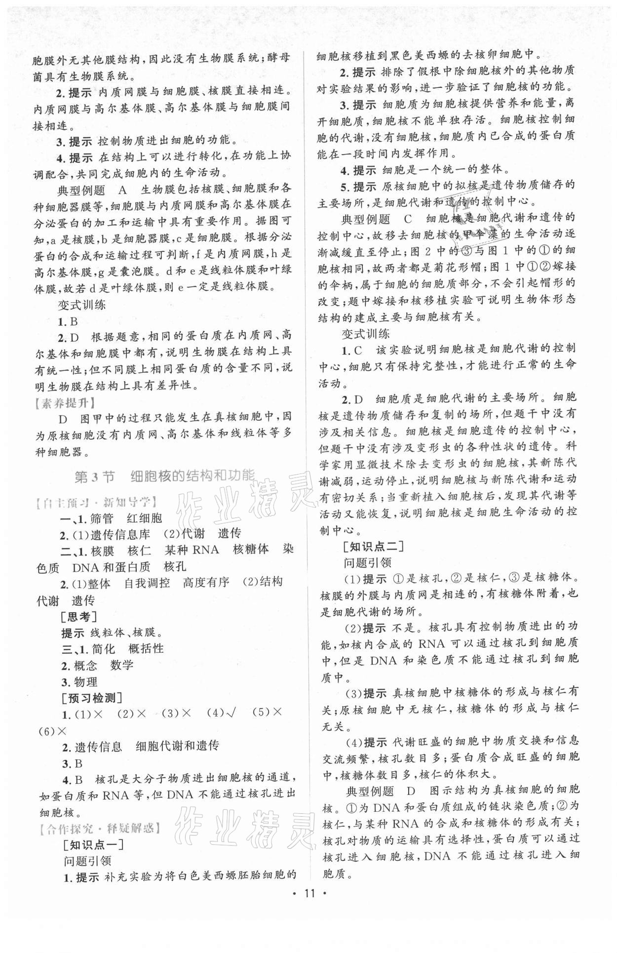 2021年高中同步测控优化设计生物必修1分子与细胞增强版 参考答案第10页