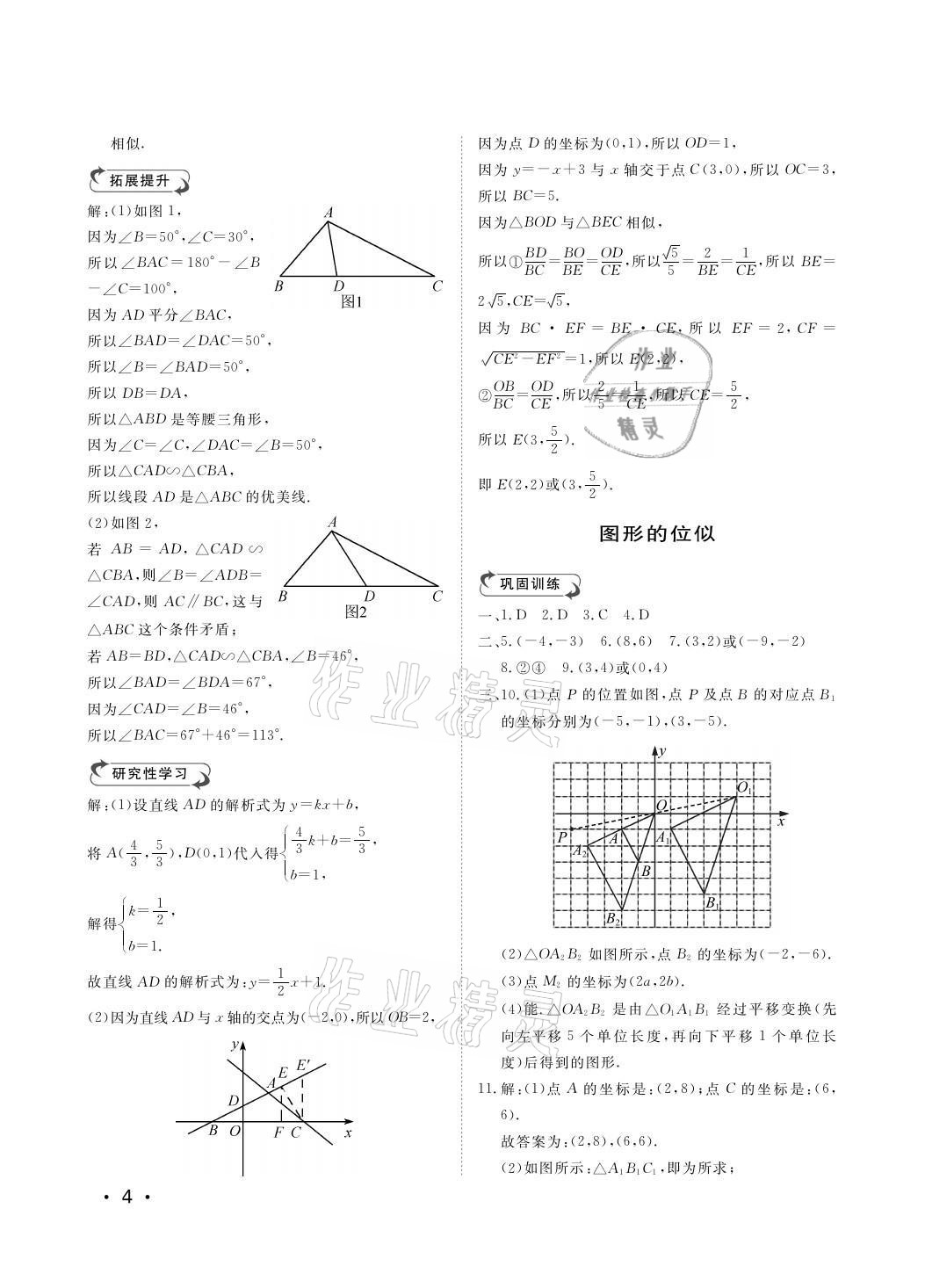 2021年行知天下九年級數(shù)學上冊青島版 參考答案第4頁