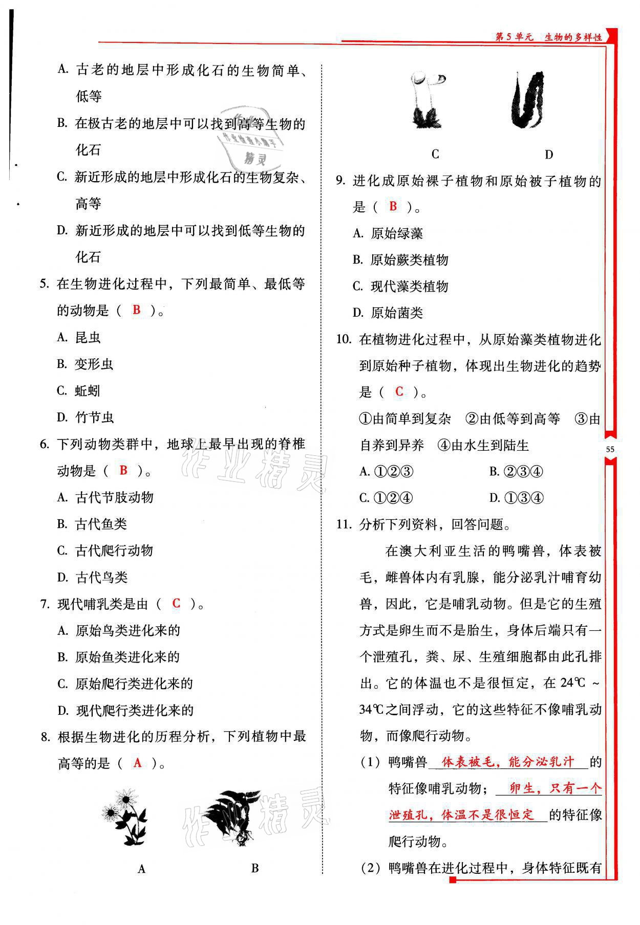 2021年云南省標(biāo)準(zhǔn)教輔優(yōu)佳學(xué)案八年級生物全一冊蘇教版 參考答案第55頁