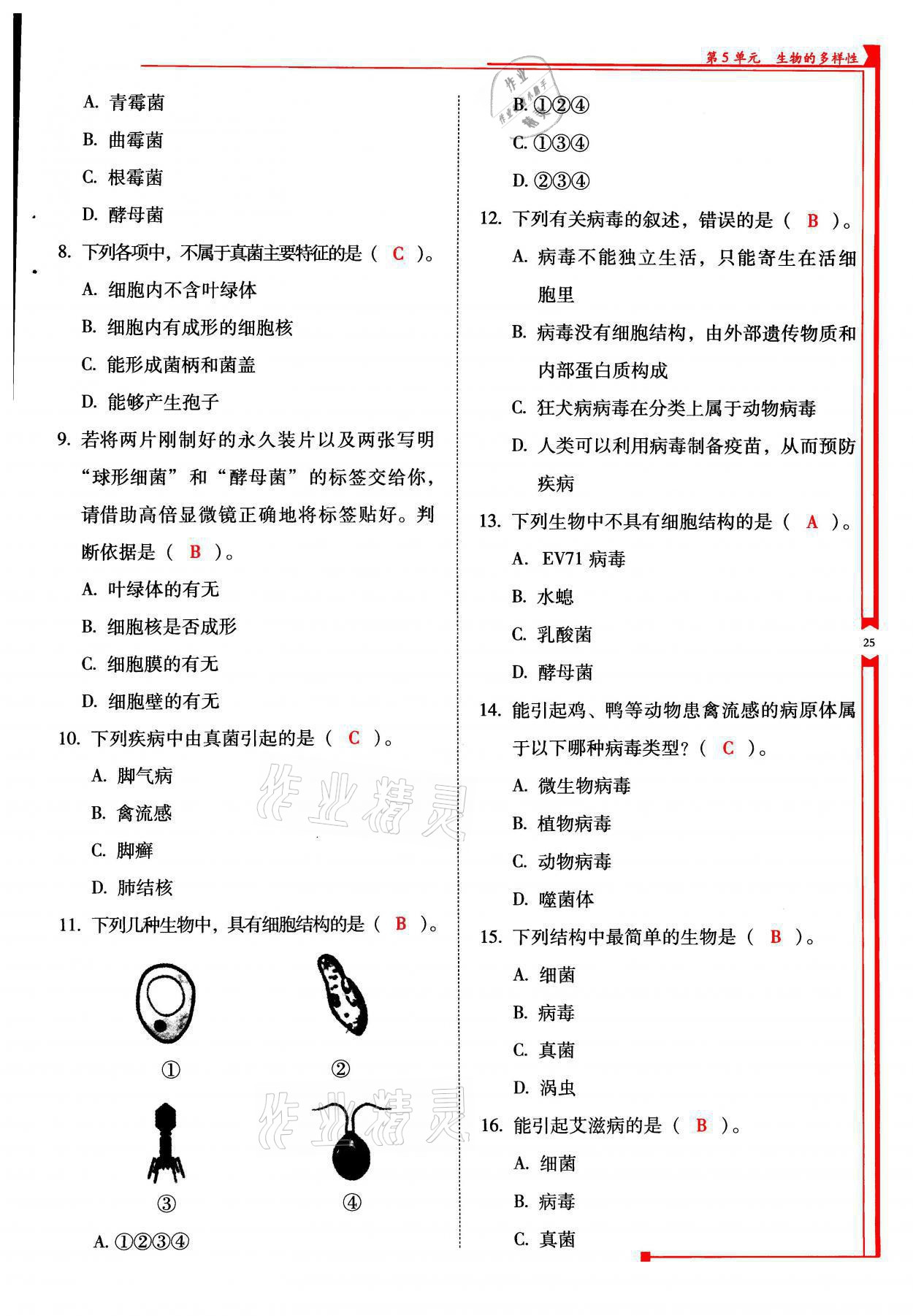2021年云南省标准教辅优佳学案八年级生物全一册苏教版 参考答案第25页