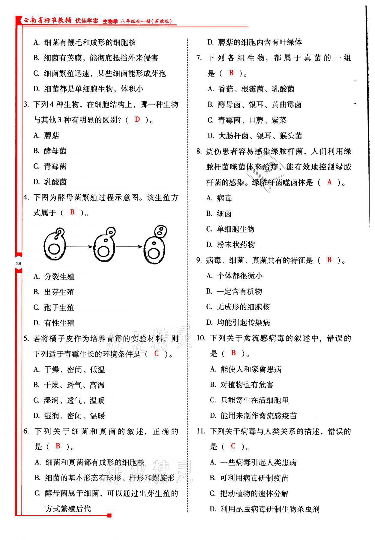 2021年云南省标准教辅优佳学案八年级生物全一册苏教版 参考答案第28页