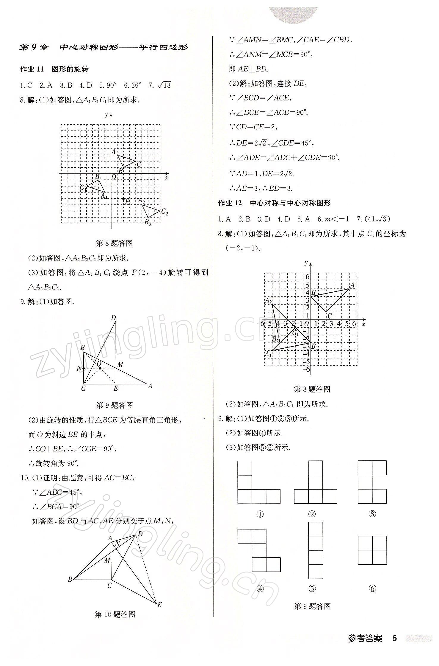 2022年启东中学作业本八年级数学下册江苏版 参考答案第5页