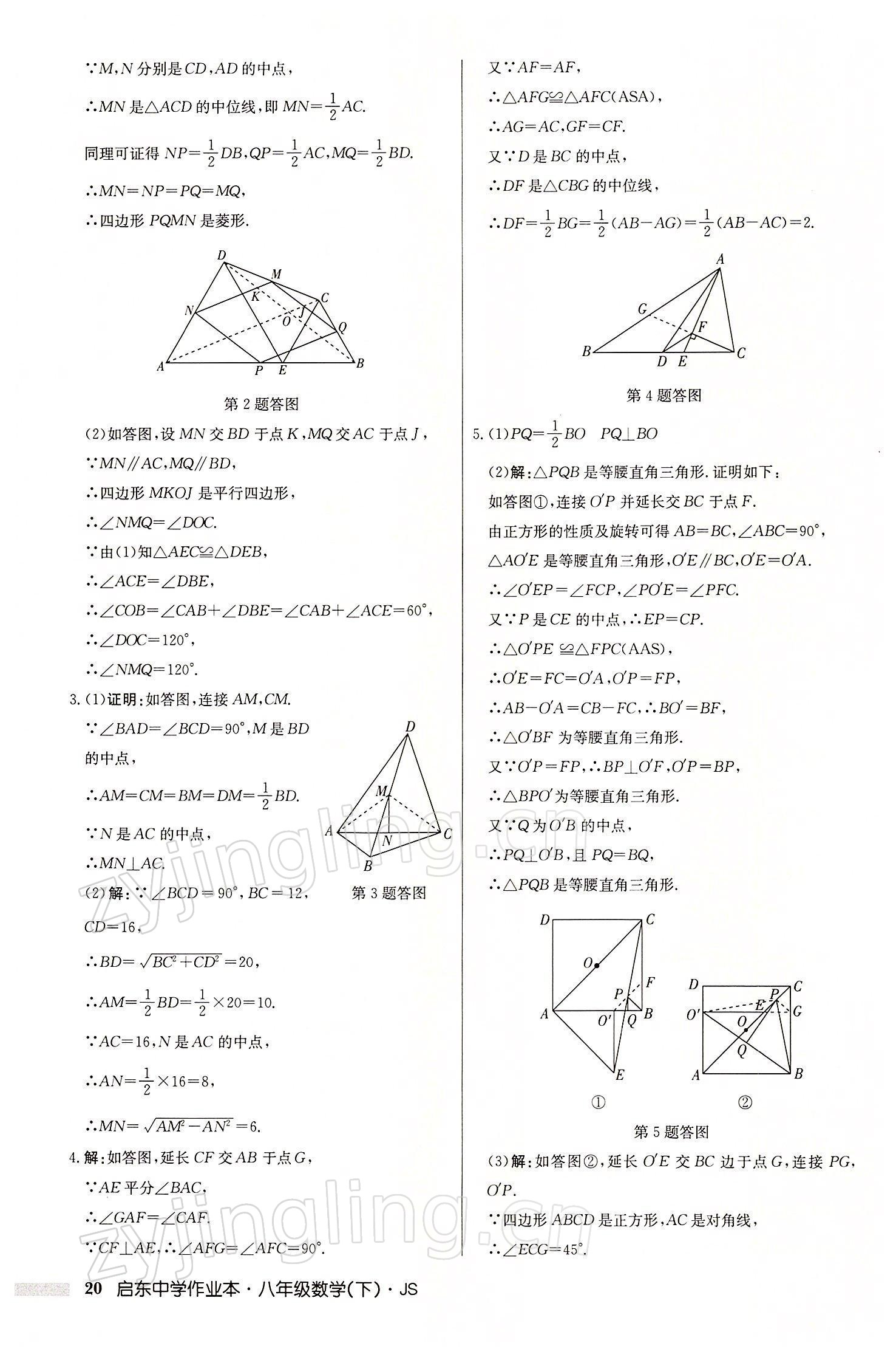 2022年启东中学作业本八年级数学下册江苏版 参考答案第20页