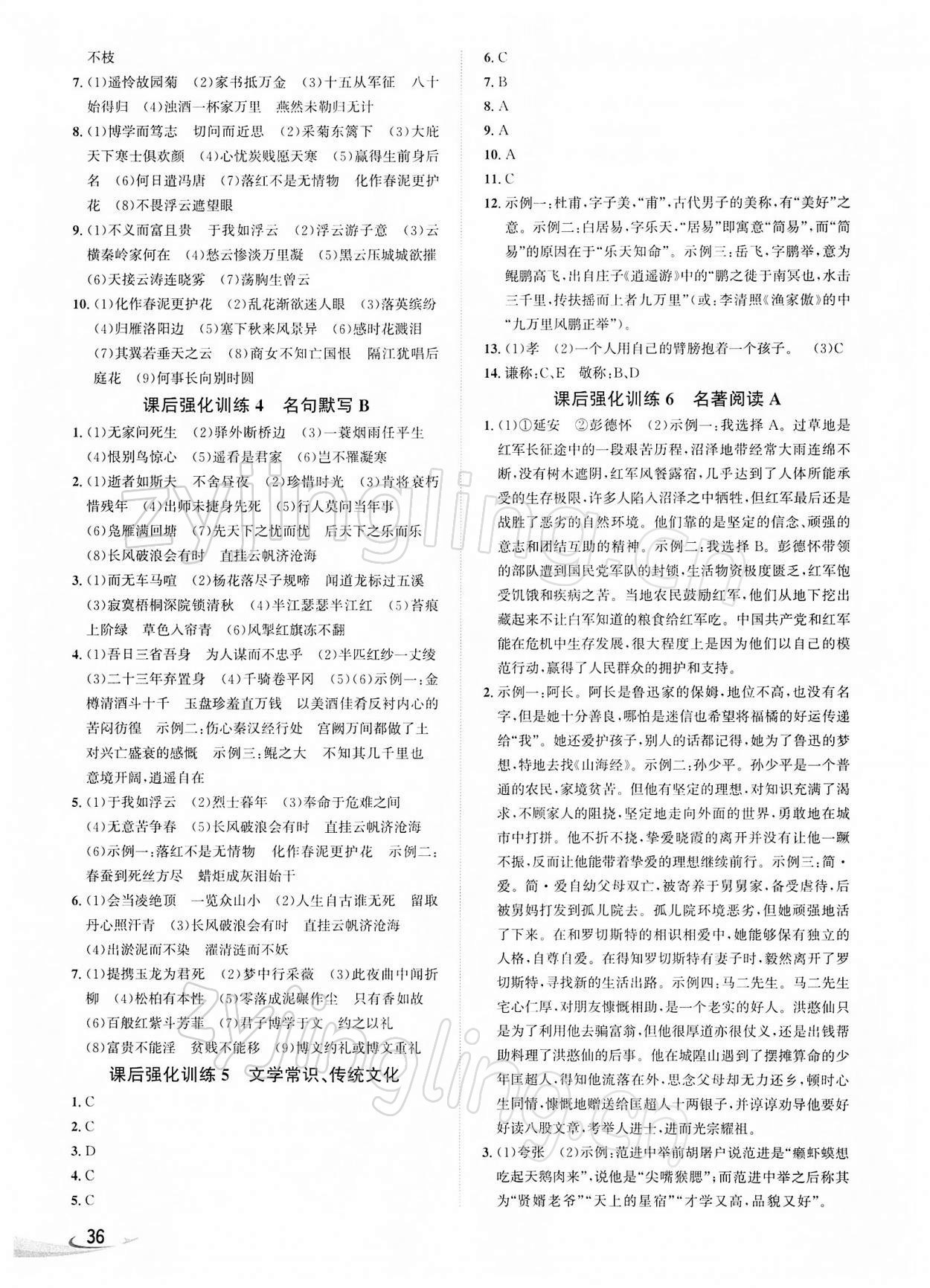 2022年新课标新中考浙江中考语文 第6页
