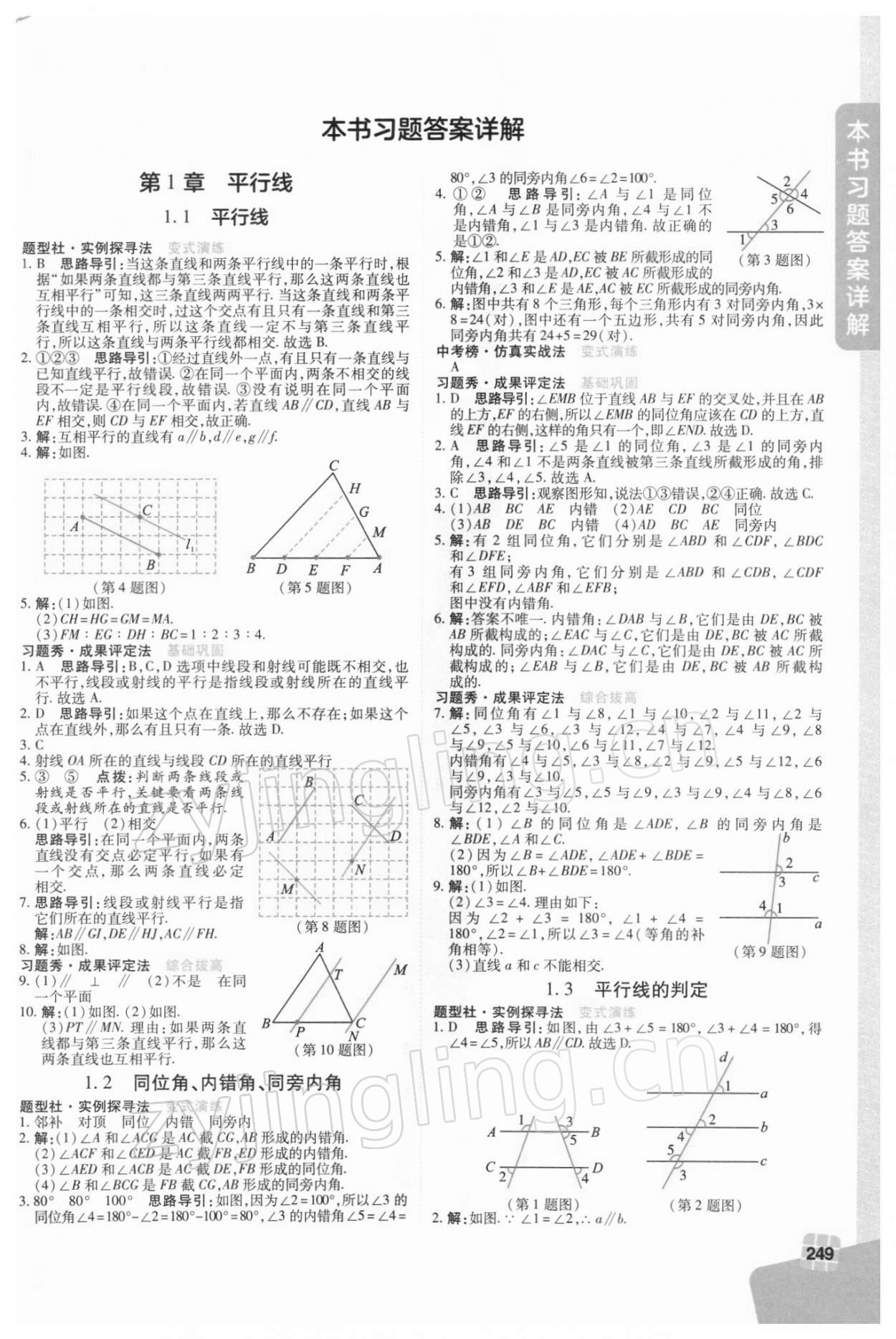 2022年倍速學(xué)習(xí)法七年級(jí)數(shù)學(xué)下冊(cè)浙教版 第1頁