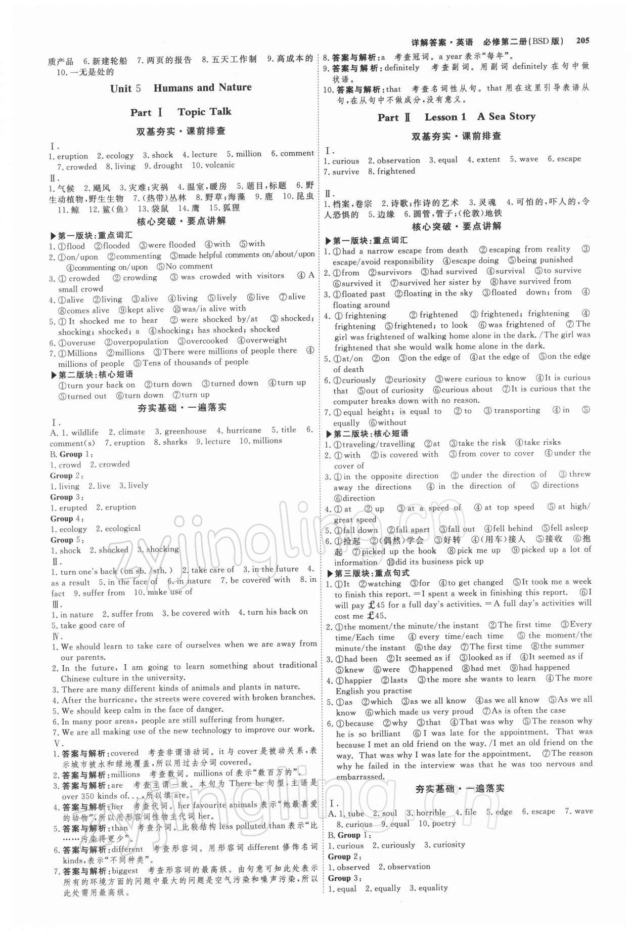 2021年师说高中同步导学案英语必修第二册北师大版 参考答案第4页