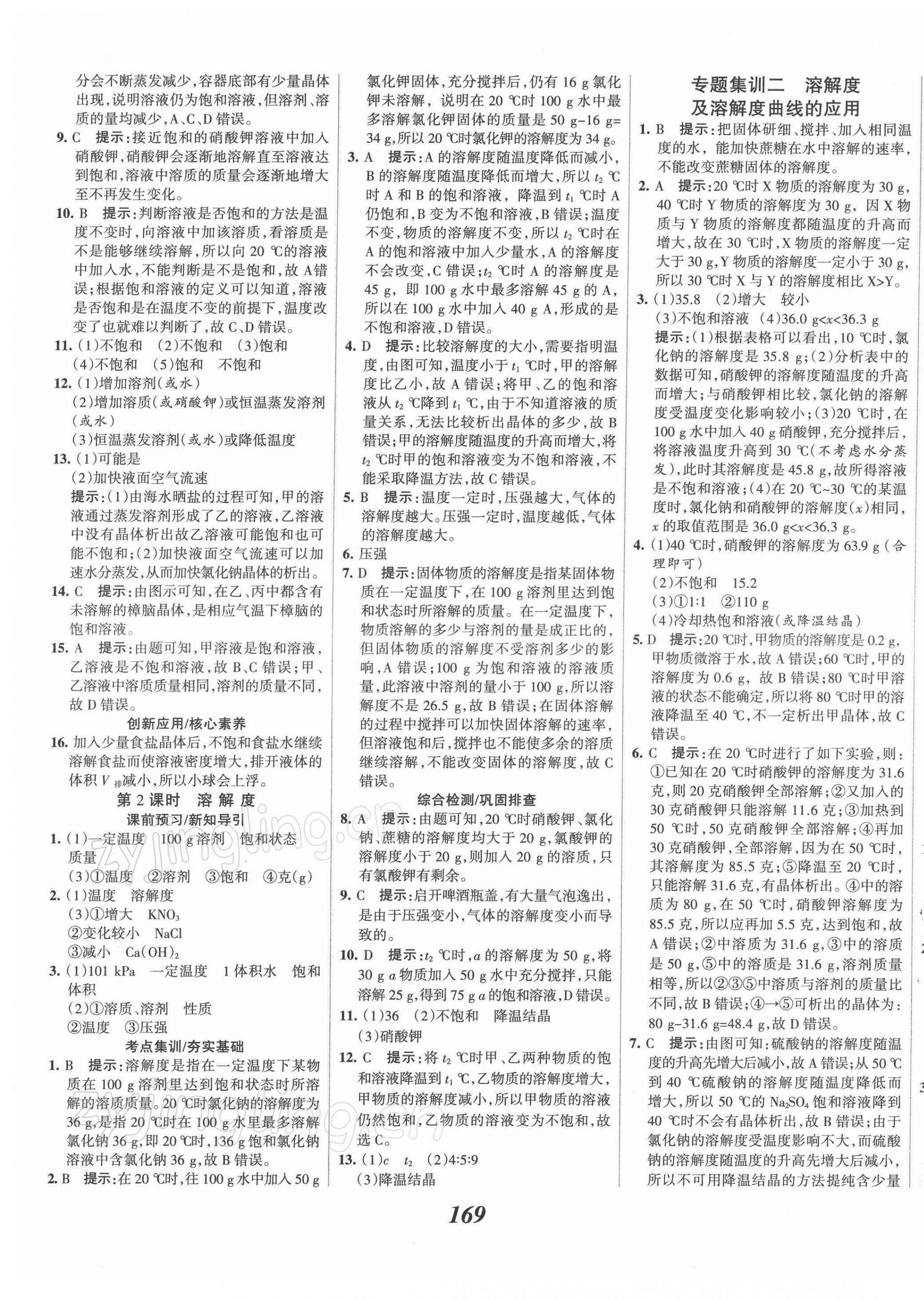 2022年全优课堂考点集训与满分备考九年级化学下册 第9页