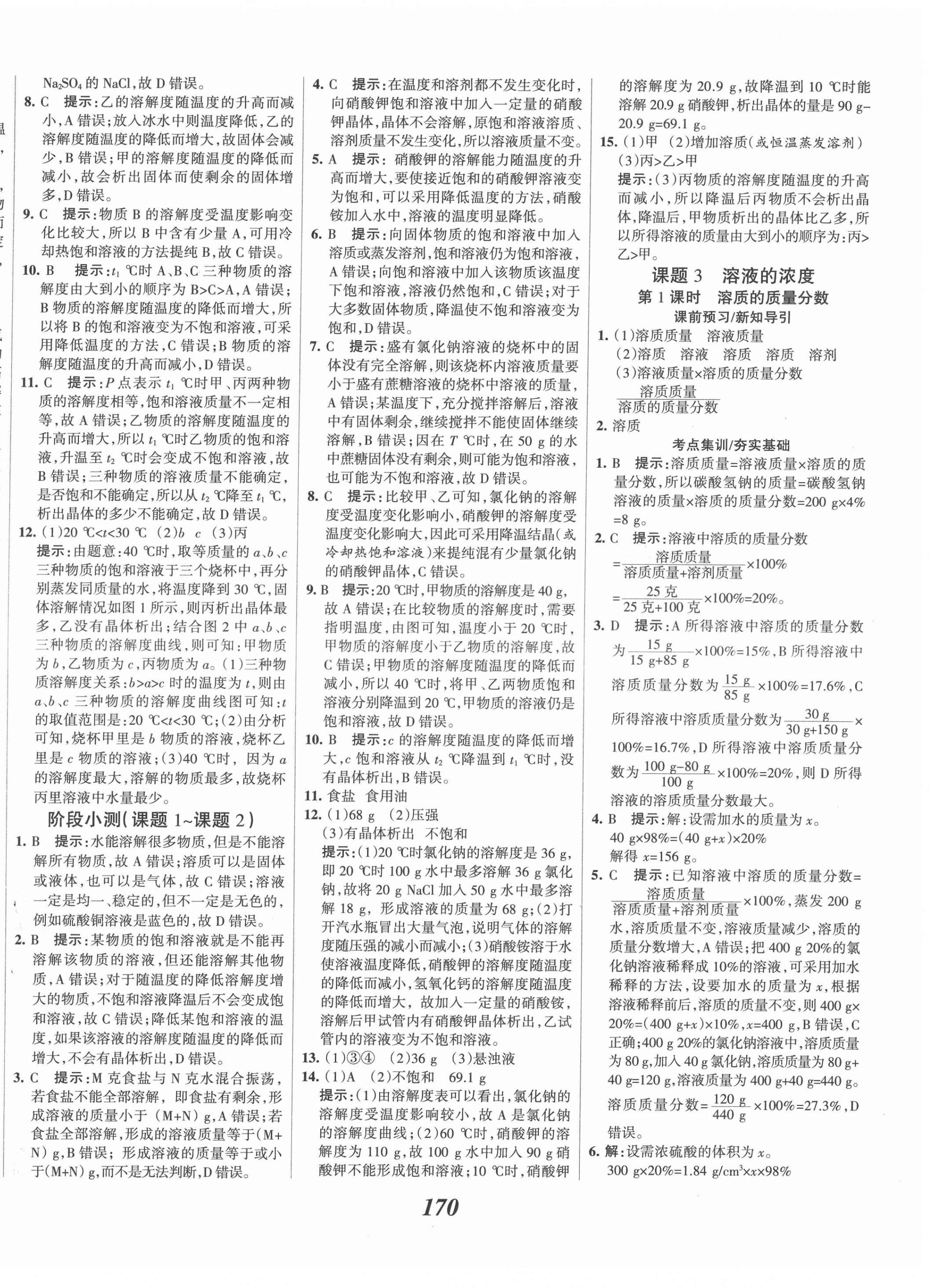 2022年全优课堂考点集训与满分备考九年级化学下册 第10页