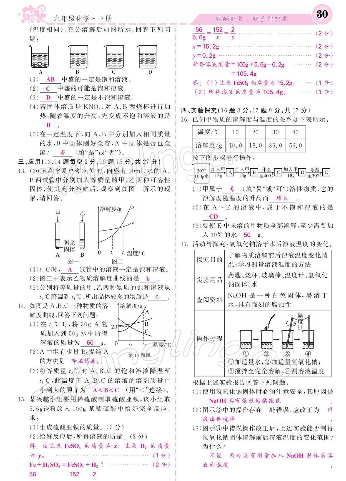 2022年课堂点睛九年级英语下册人教版宁夏专版 参考答案第30页