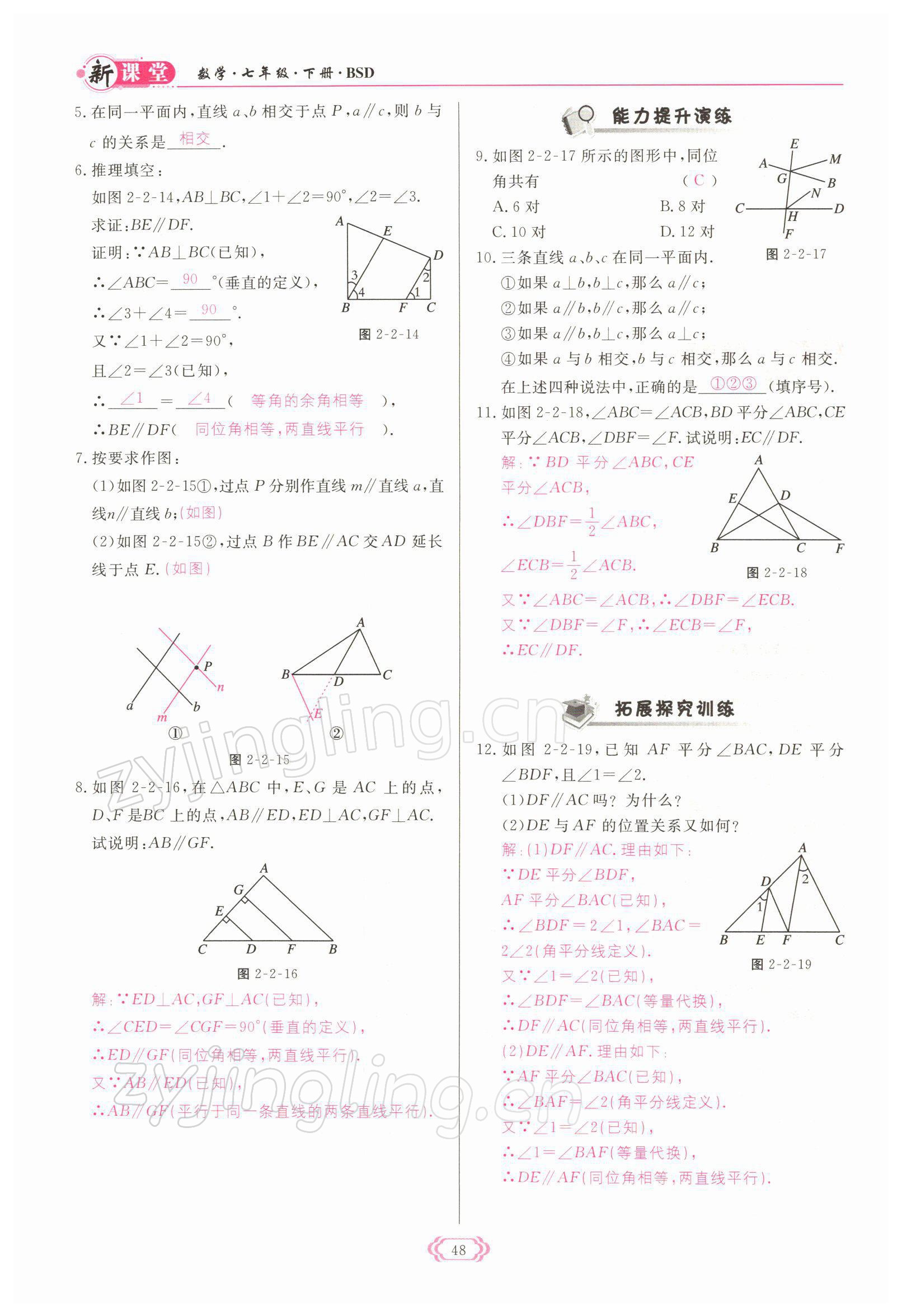 2022年启航新课堂七年级数学下册北师大版 参考答案第48页