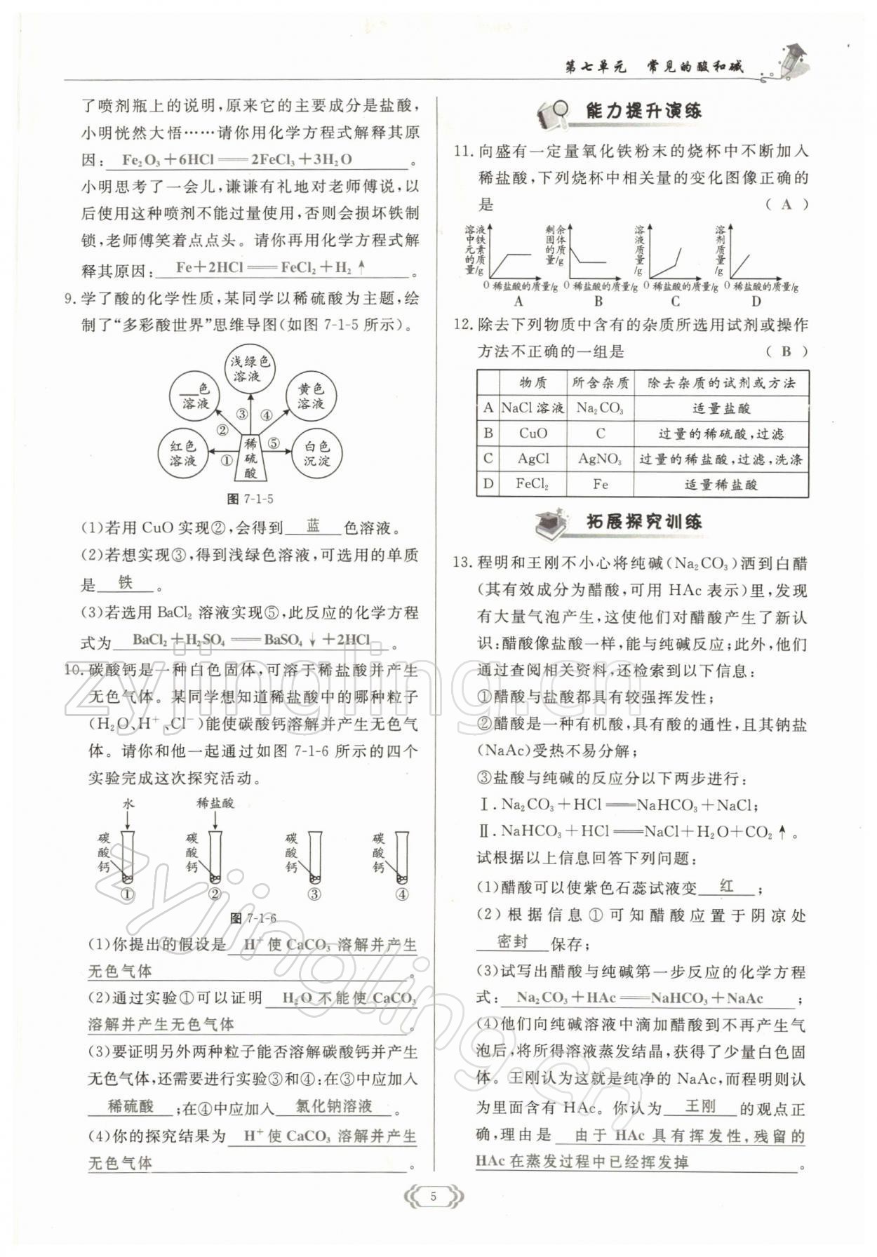 2022年启航新课堂九年级化学下册鲁教版 参考答案第5页