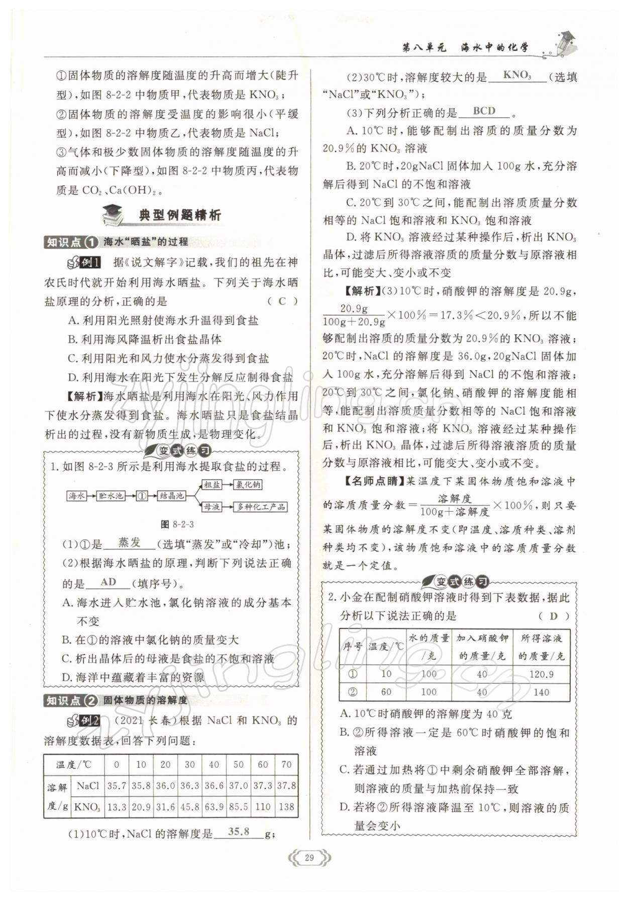 2022年启航新课堂九年级化学下册鲁教版 参考答案第29页