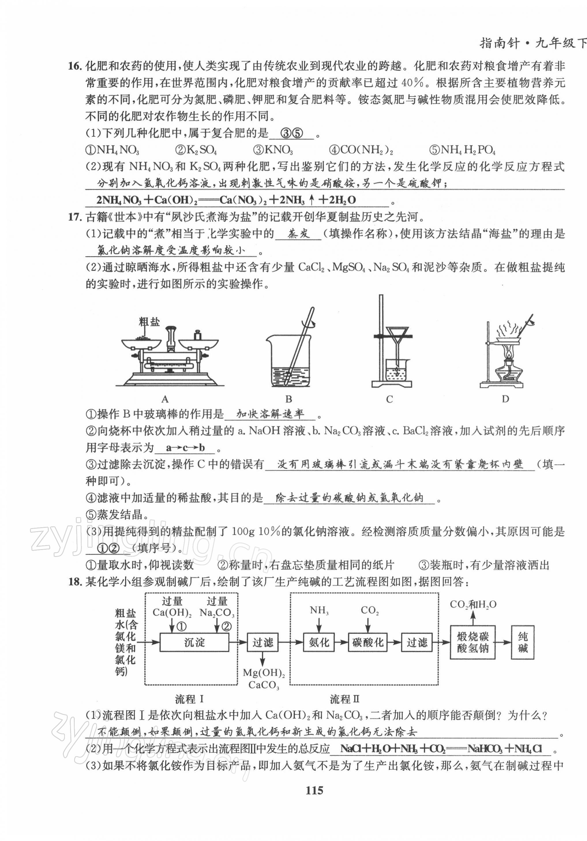 2022年指南针导学探究九年级化学下册人教版 第15页