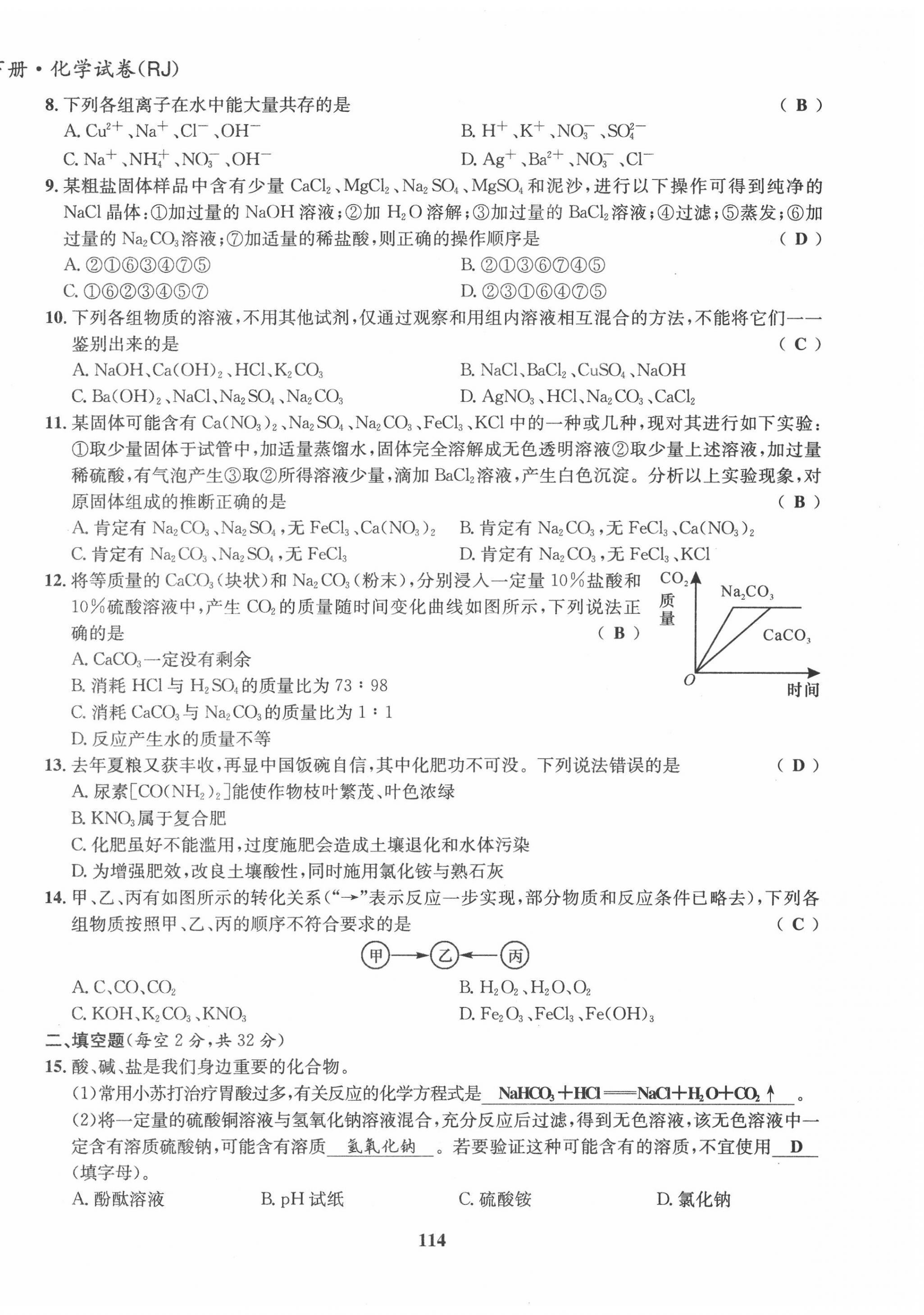 2022年指南针导学探究九年级化学下册人教版 第14页