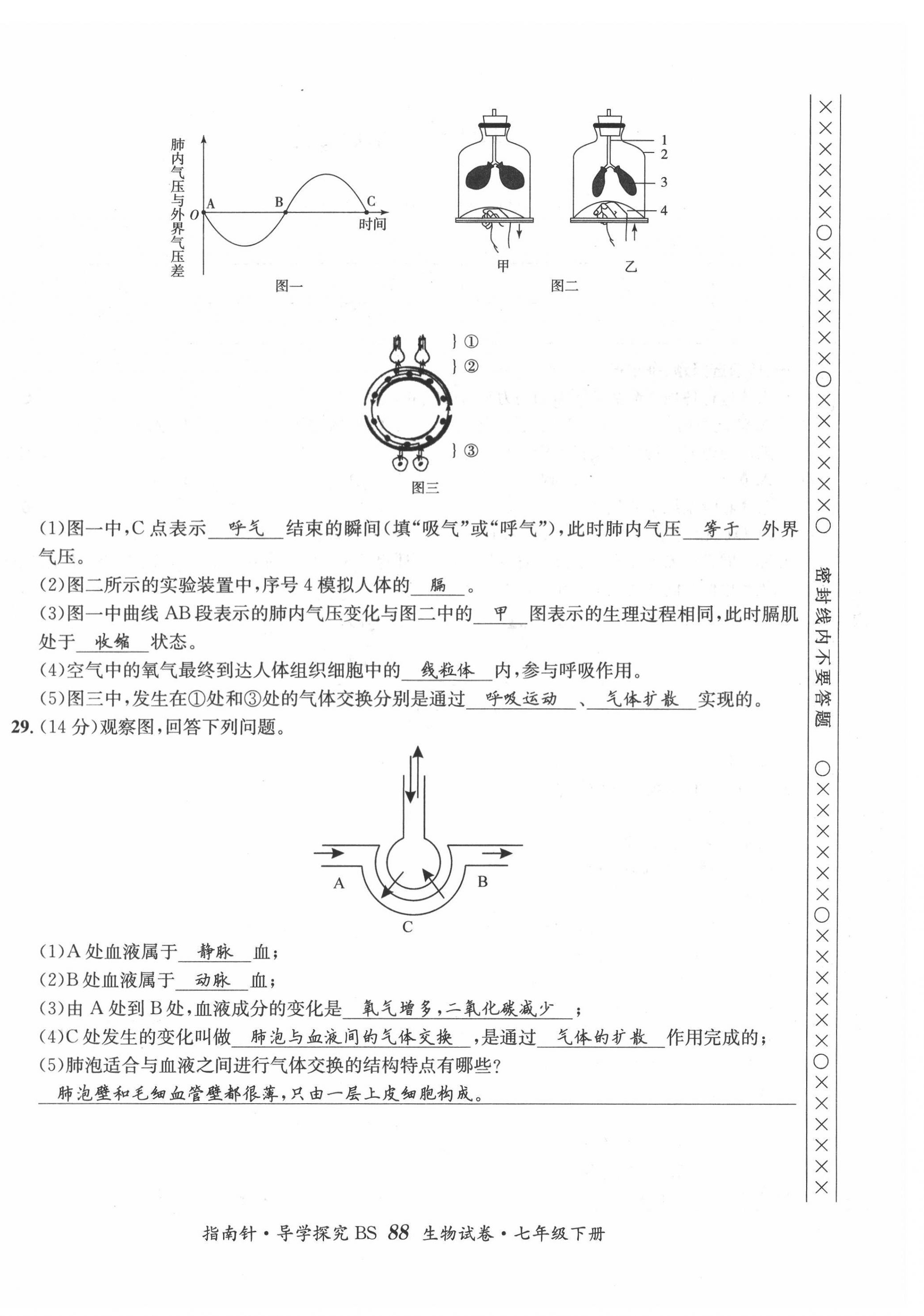 2022年指南针导学探究七年级生物下册北师大版 第12页