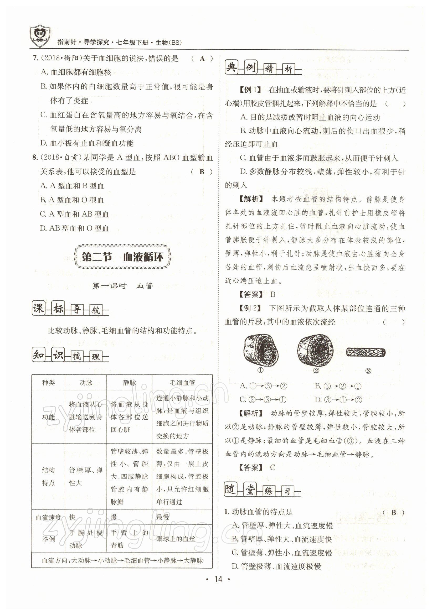 2022年指南針導(dǎo)學(xué)探究七年級(jí)生物下冊(cè)北師大版 參考答案第14頁(yè)