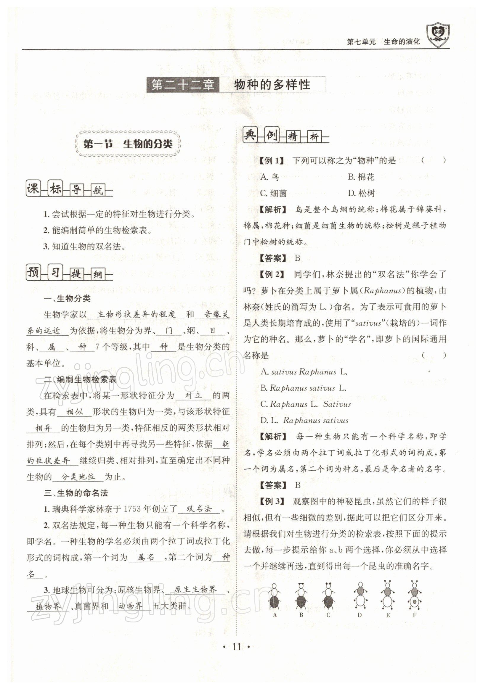 2022年指南針導(dǎo)學(xué)探究八年級生物下冊北師大版 參考答案第11頁